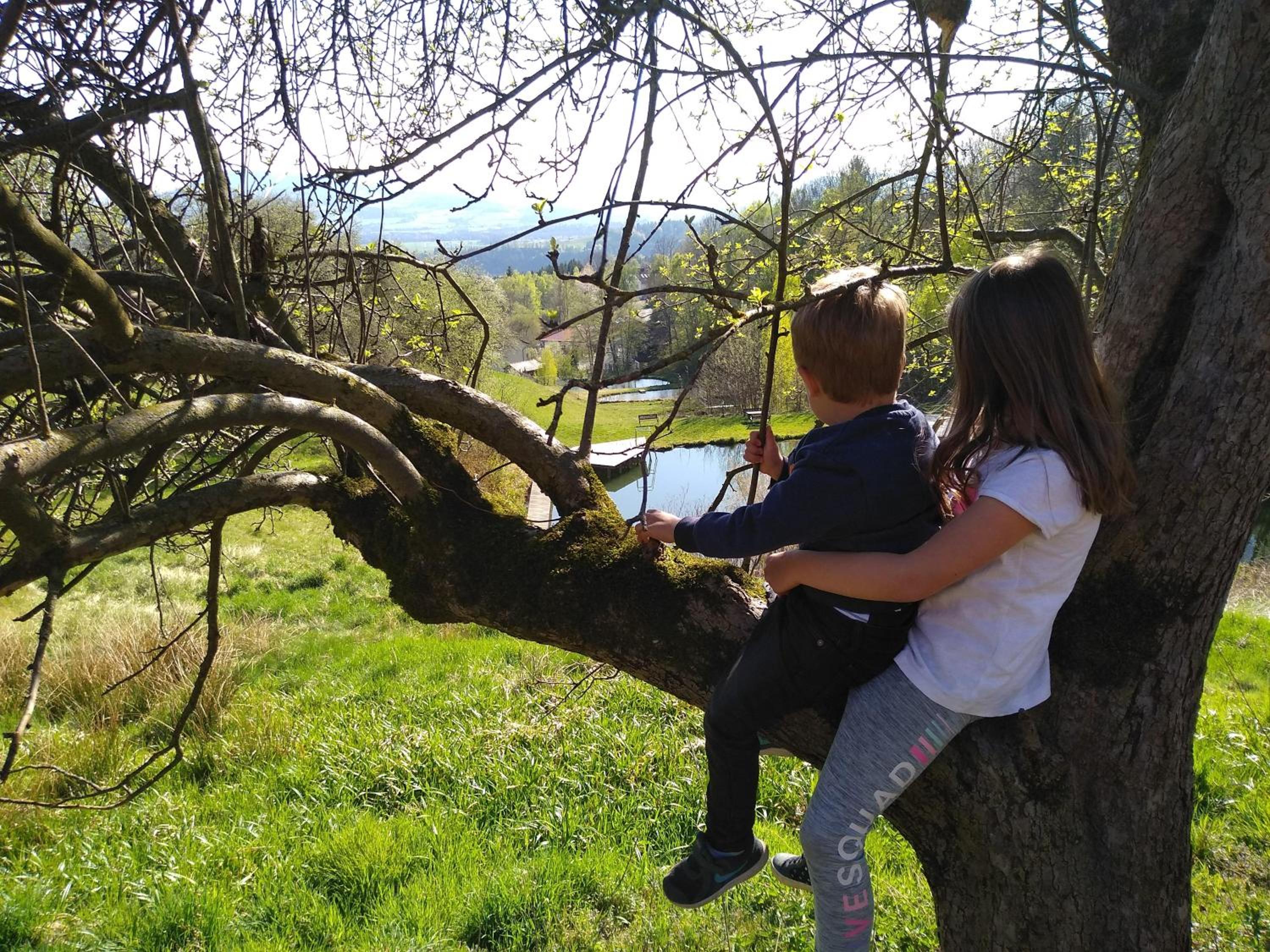 Urlaub am Glatzl Bauernhof