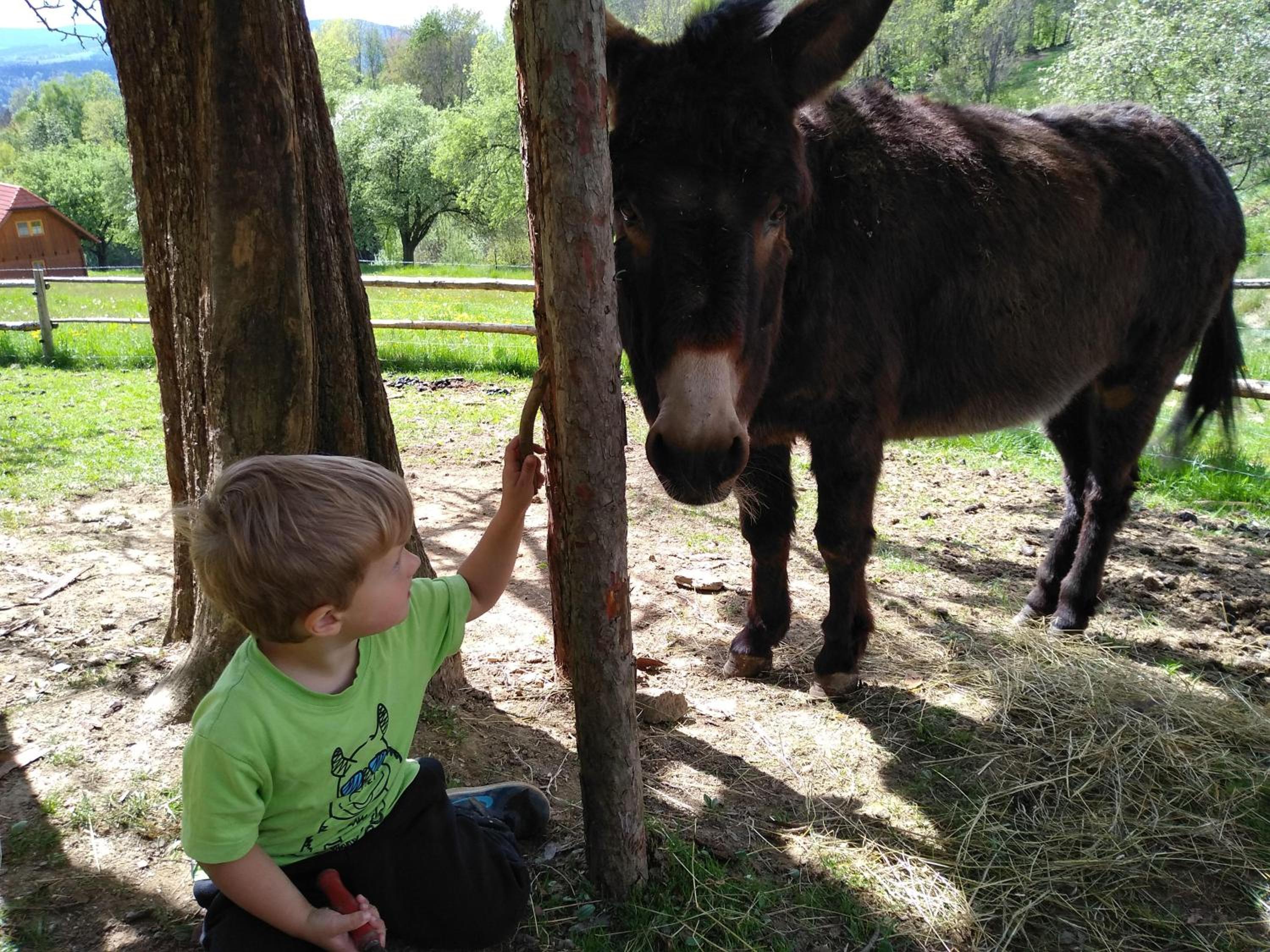 Urlaub am Glatzl Bauernhof