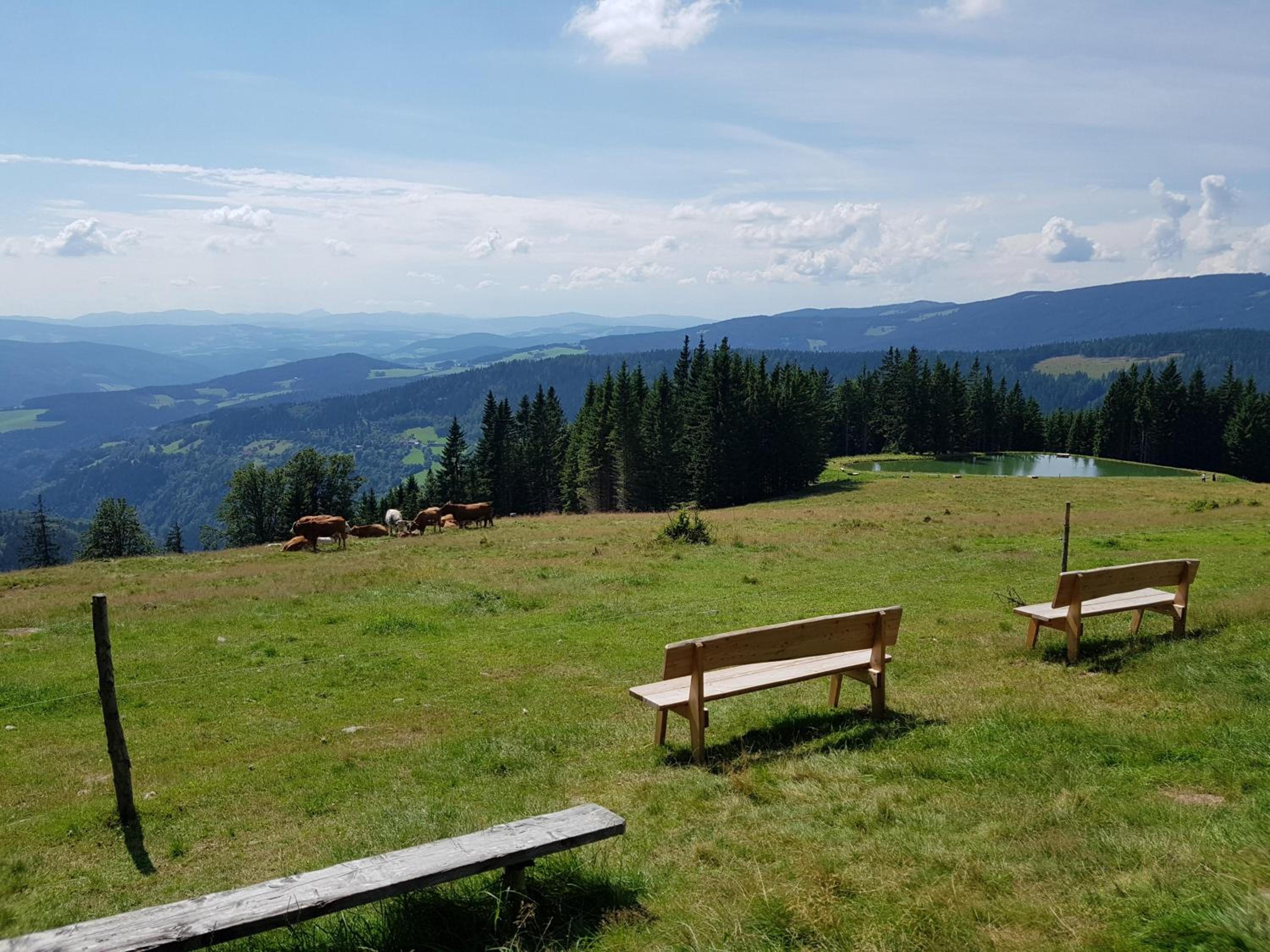Urlaub am Glatzl Bauernhof