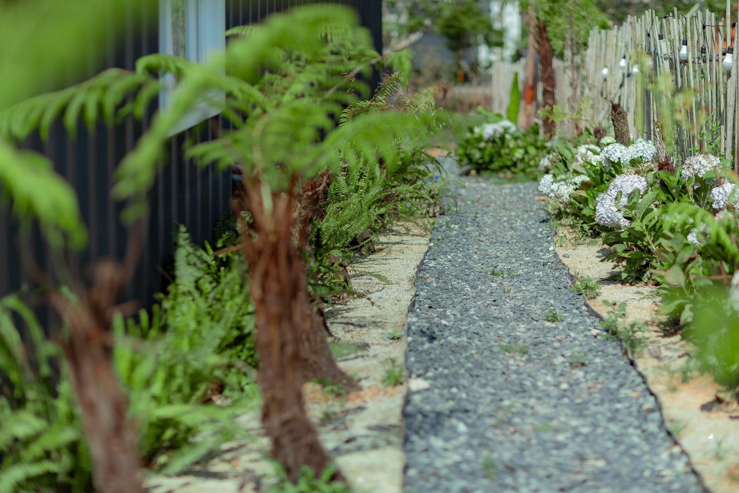 Mơ Home Đà Lạt view 4