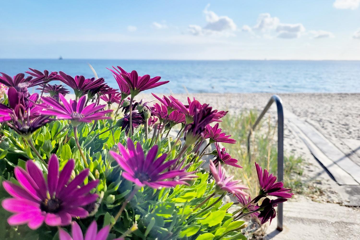 Charmante Ferienwohnung mit Terrasse - nur 50m zum Strand mit eigenem Parkplatz und Fahrradunterstellmöglichkeit