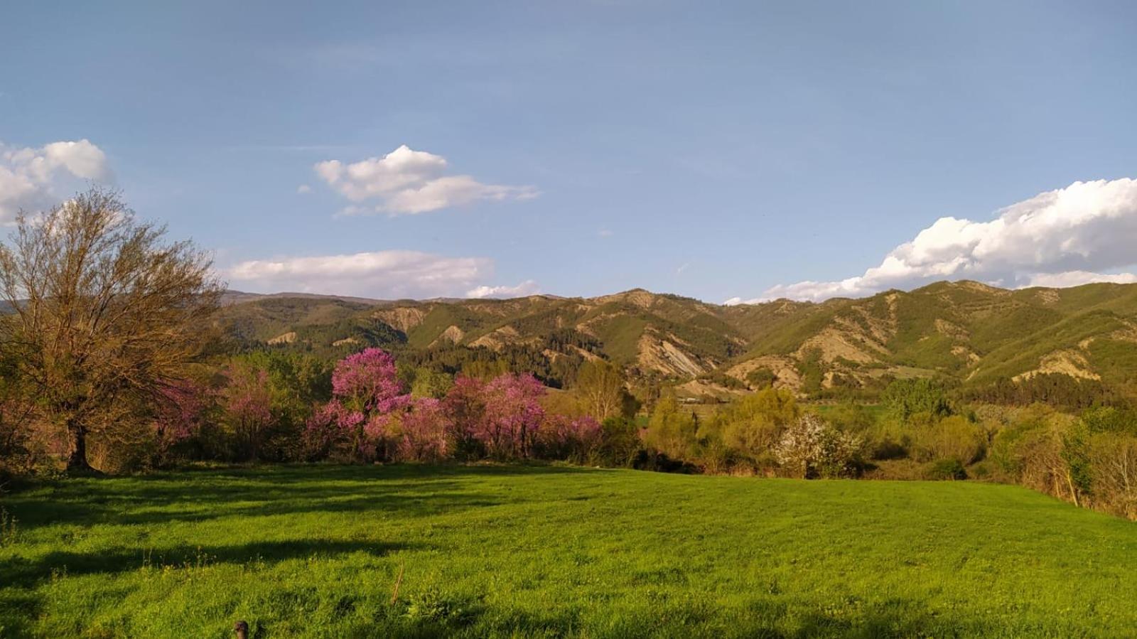 Spring Village Home