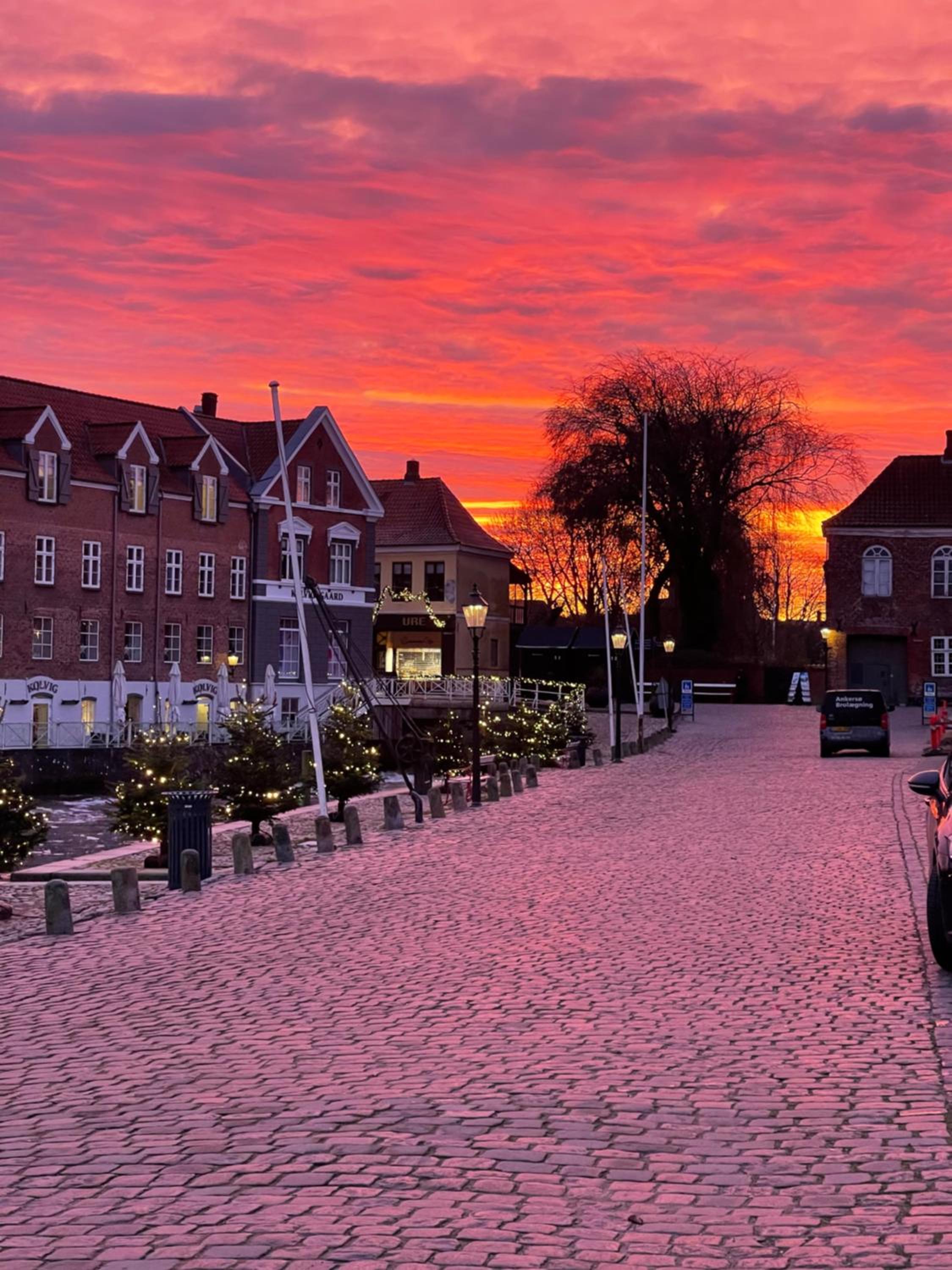 Restaurant Sælhunden