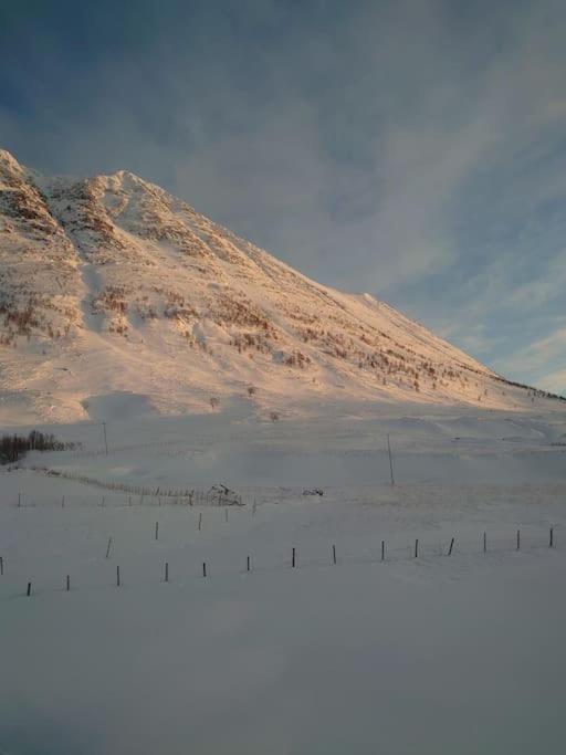 Russelv panorama