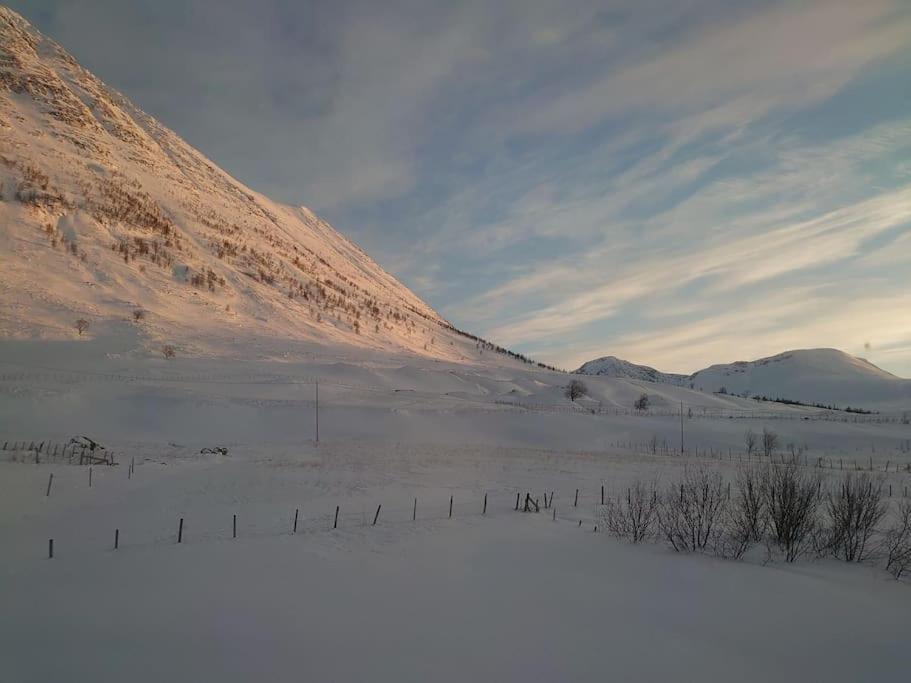 Russelv panorama