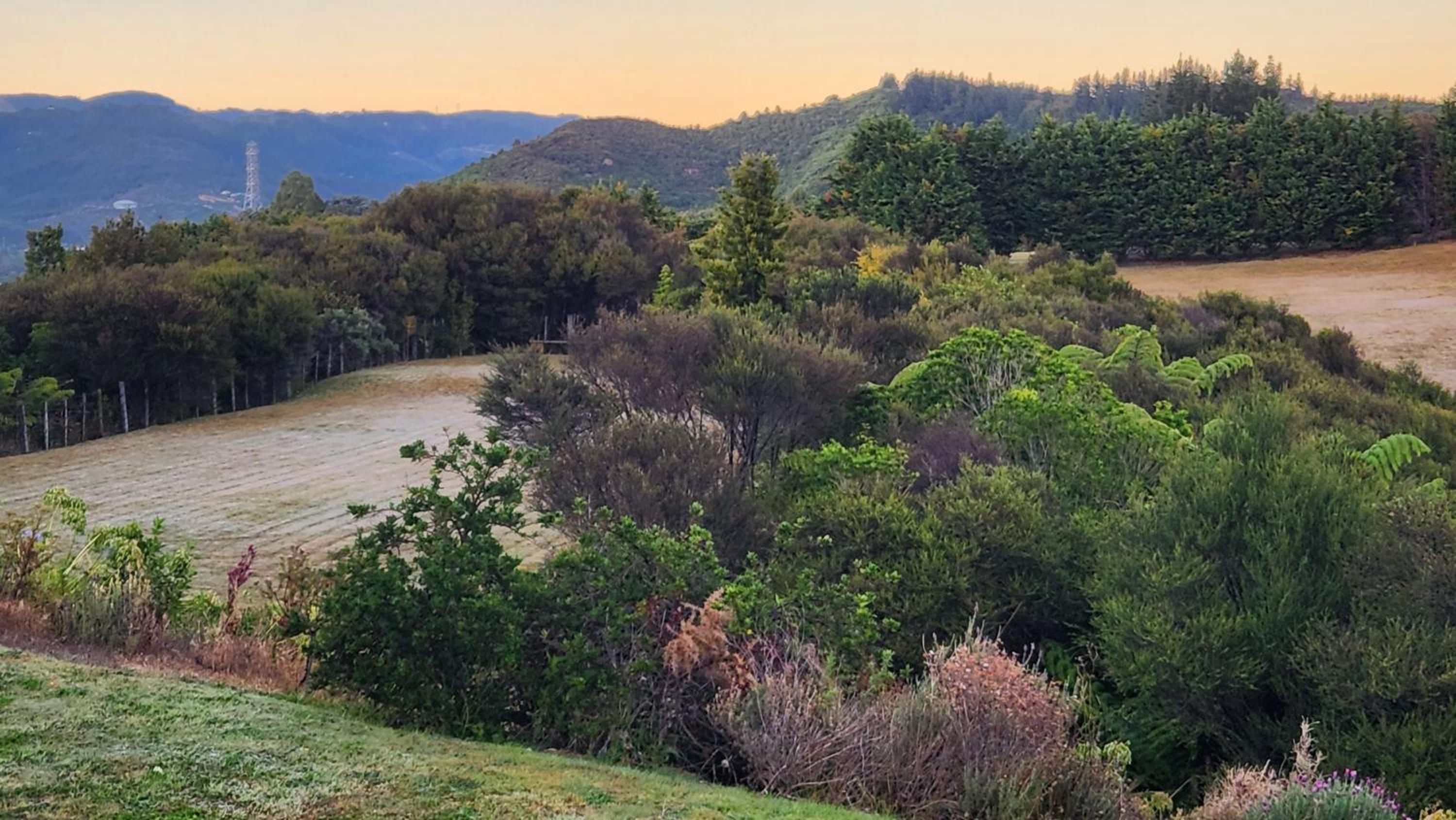 Boutique Art Retreat view 2