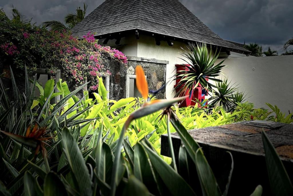 Villa Love