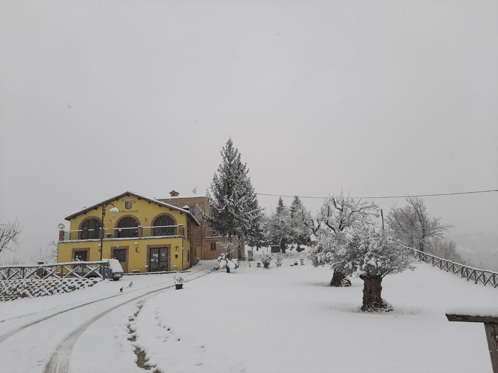 Photo 22