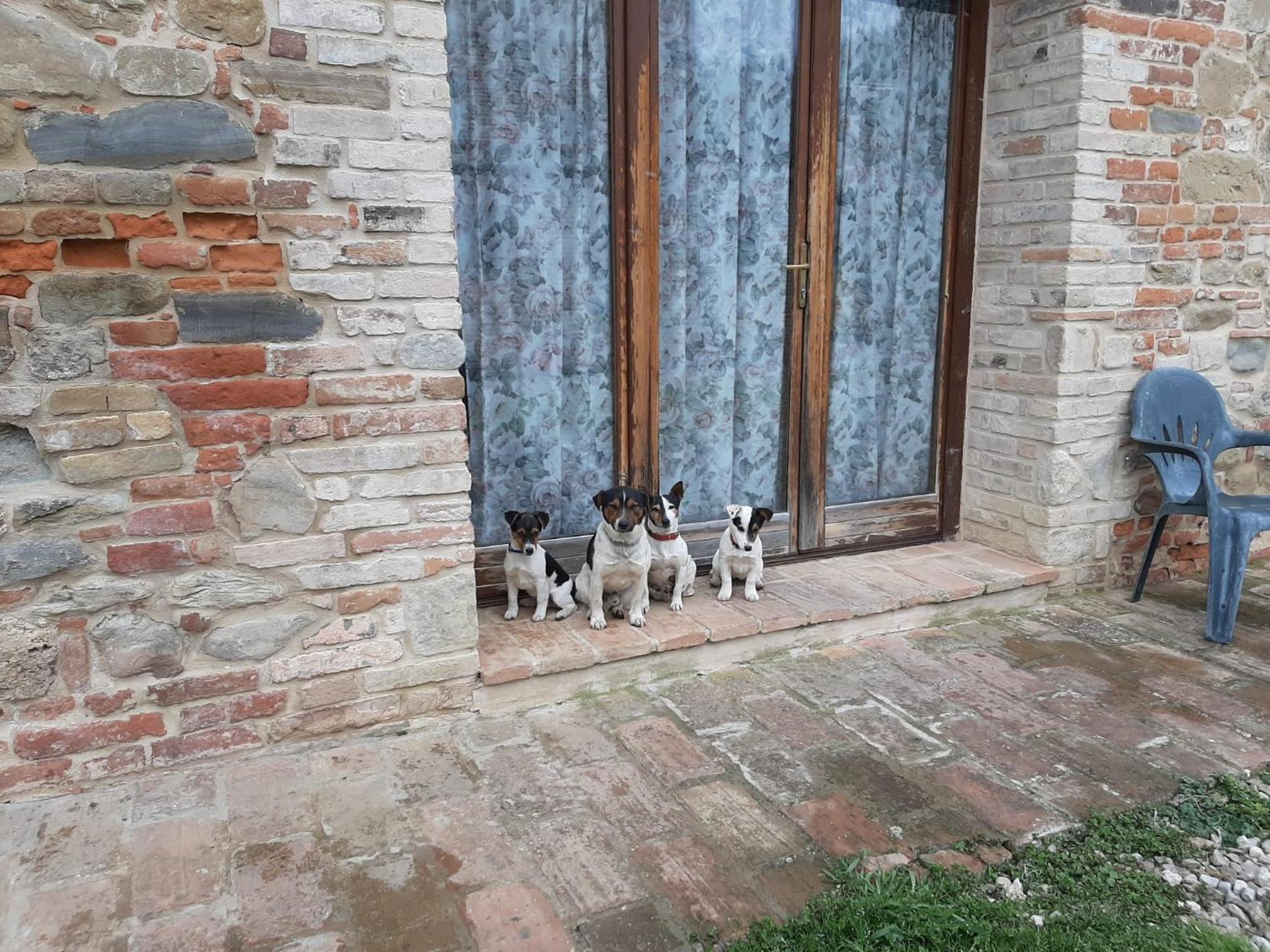 Photo 19