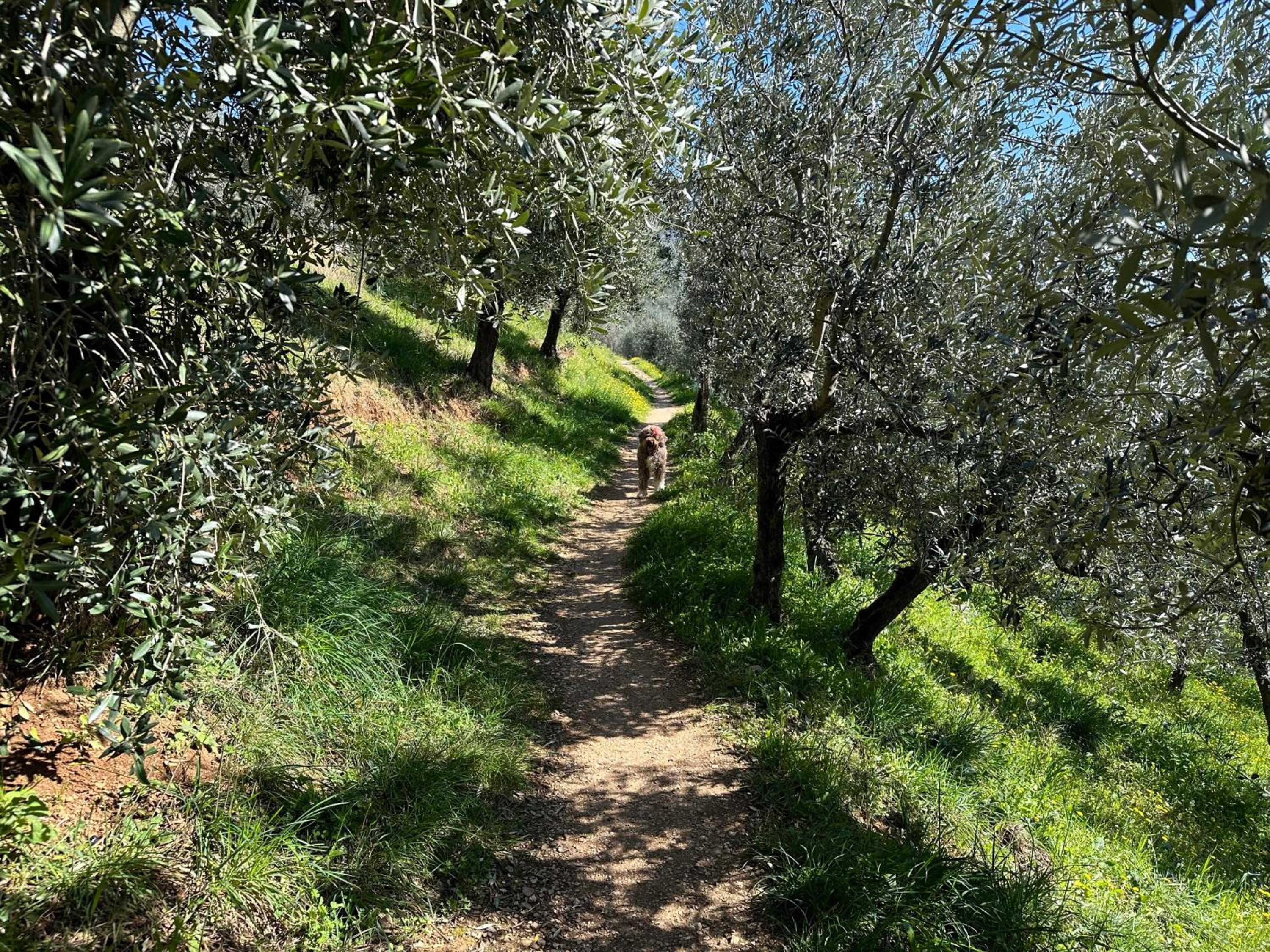 Armonia - Casa Vacanze