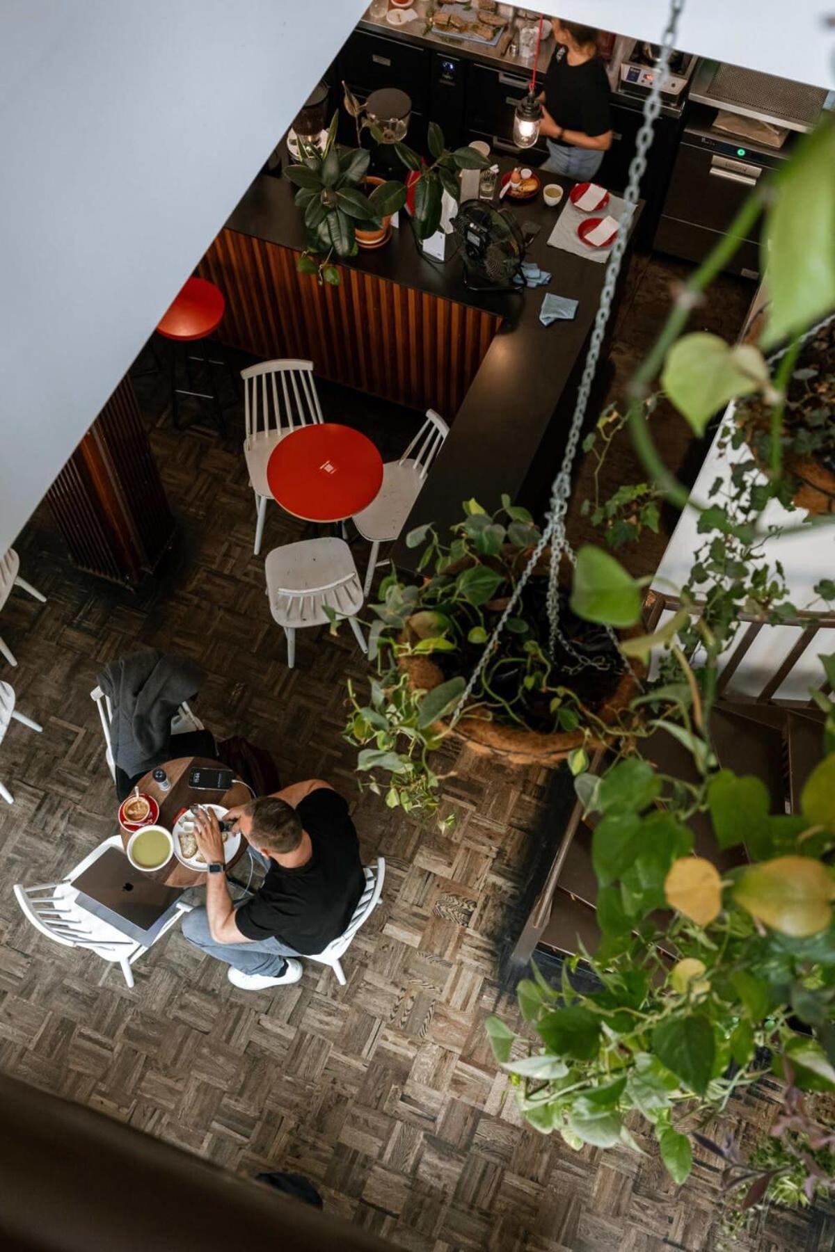 Huswell - The Jungle' Studio in the heart of Ghent