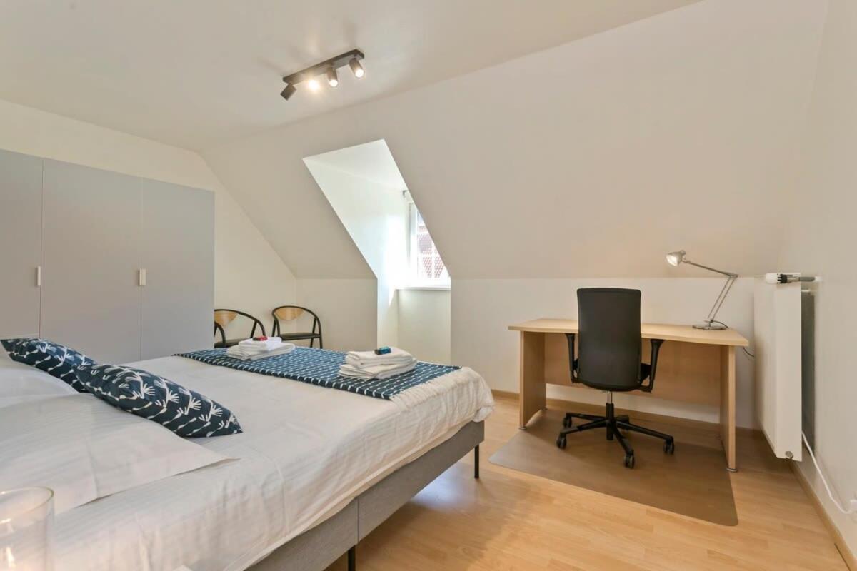 Casiola - Summer-house with sunny garden nearby beach