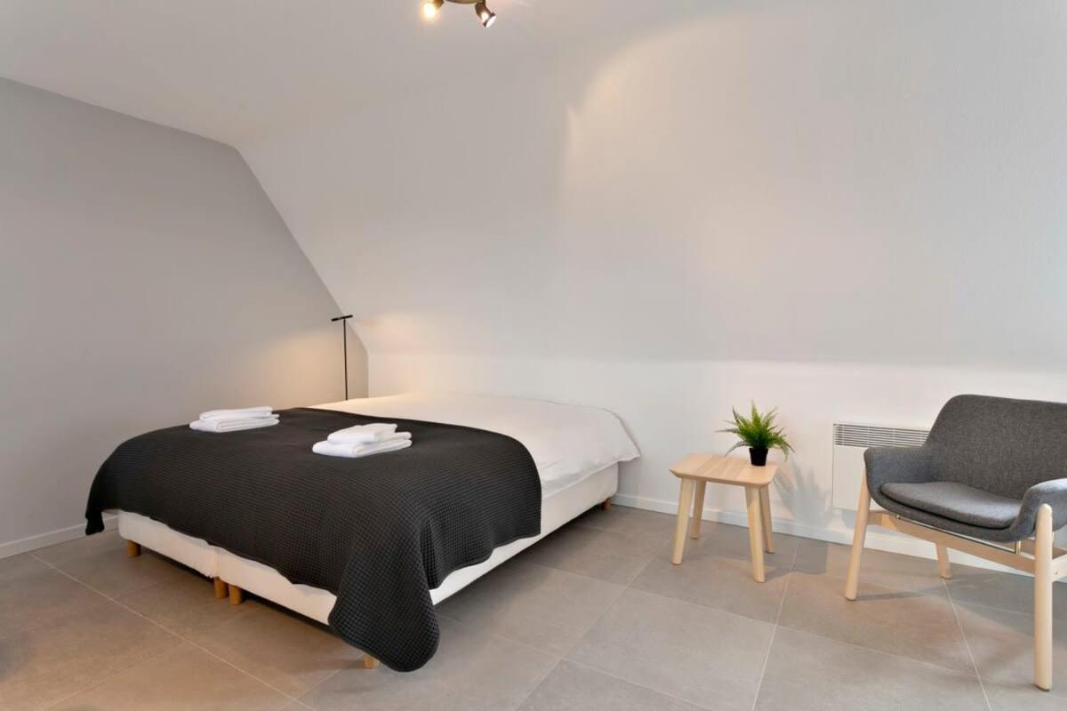 Warm Lofty and Spacious Studio view 3