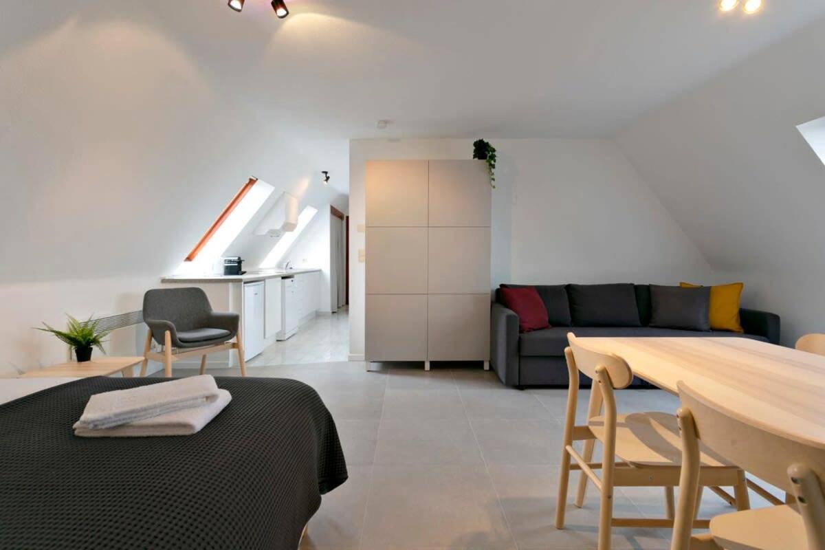 Warm Lofty and Spacious Studio view 5