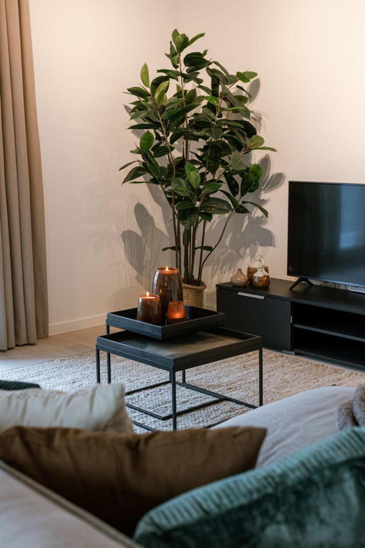 Casiola - Beautiful apartment with terrace and parking