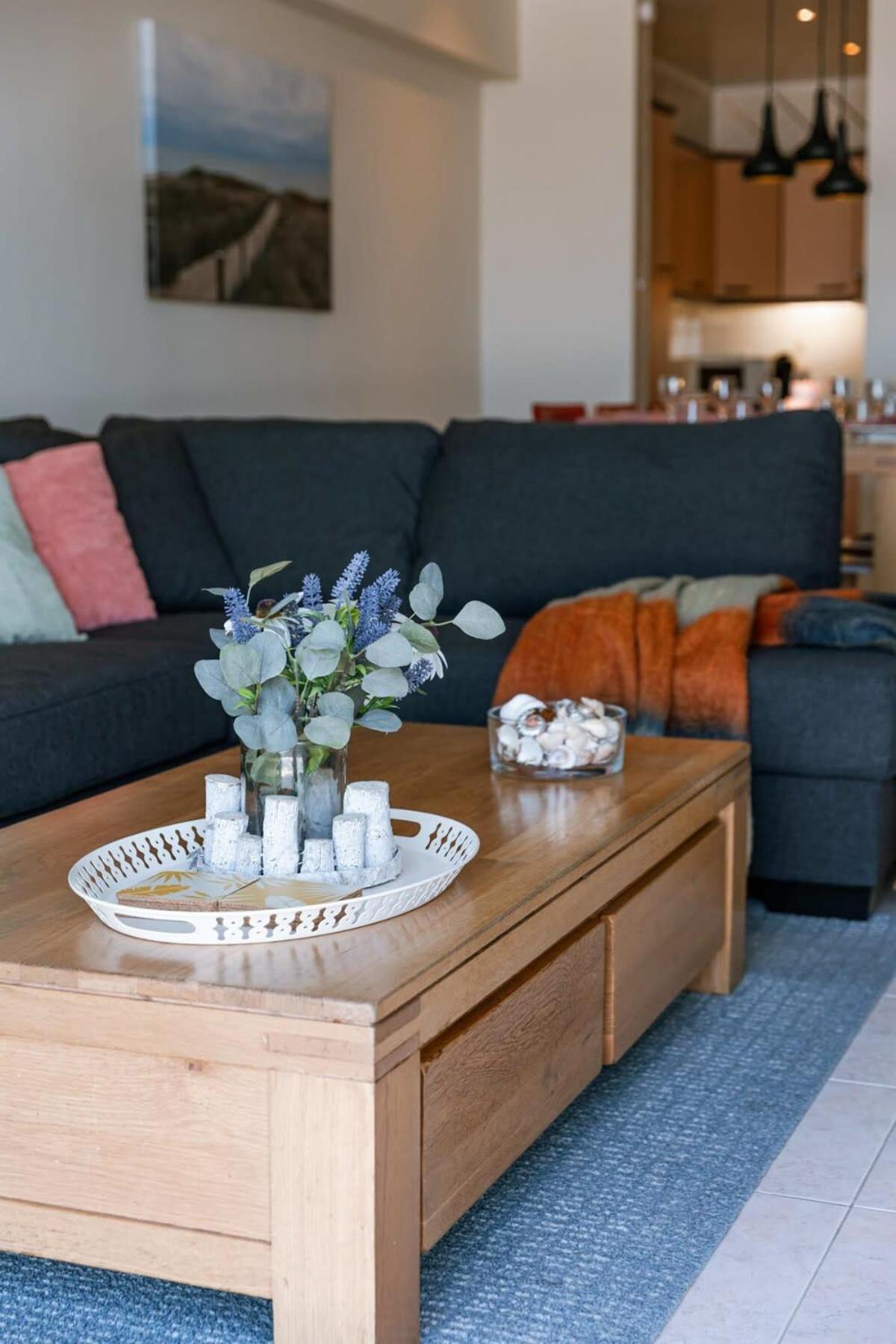 Bruges Vacations - Beachfront apartment in Zeebrugge - Property Image 18