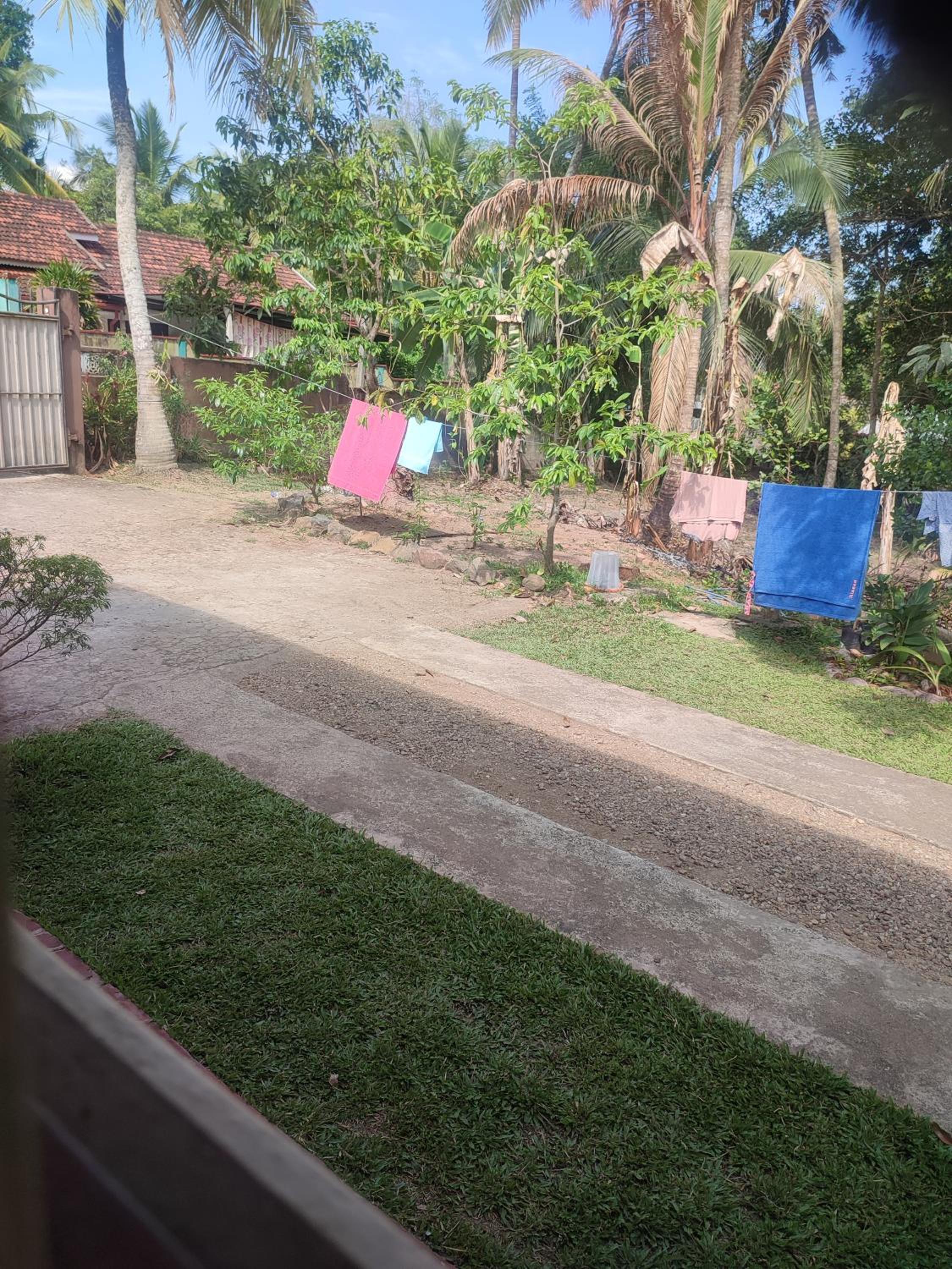 White Weligama