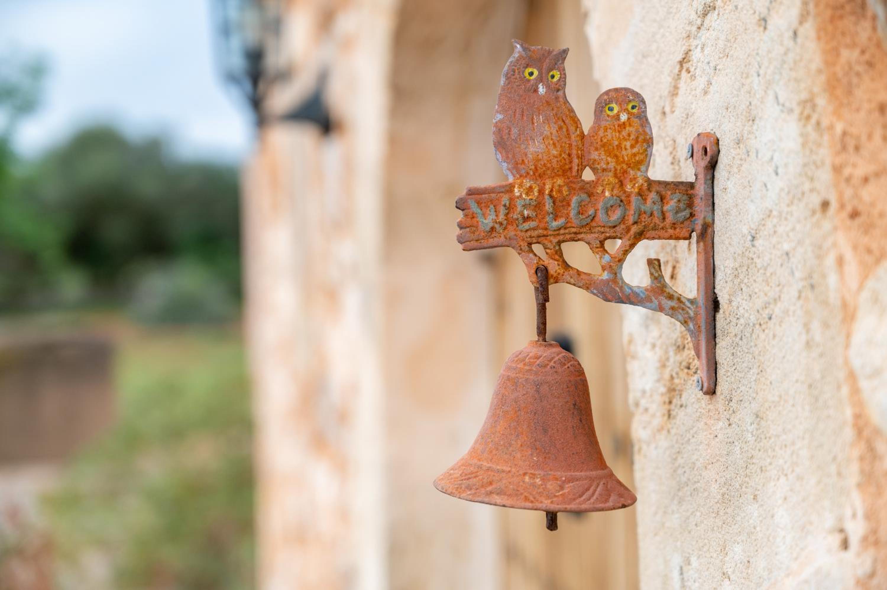 Ses Oliveres photo 2