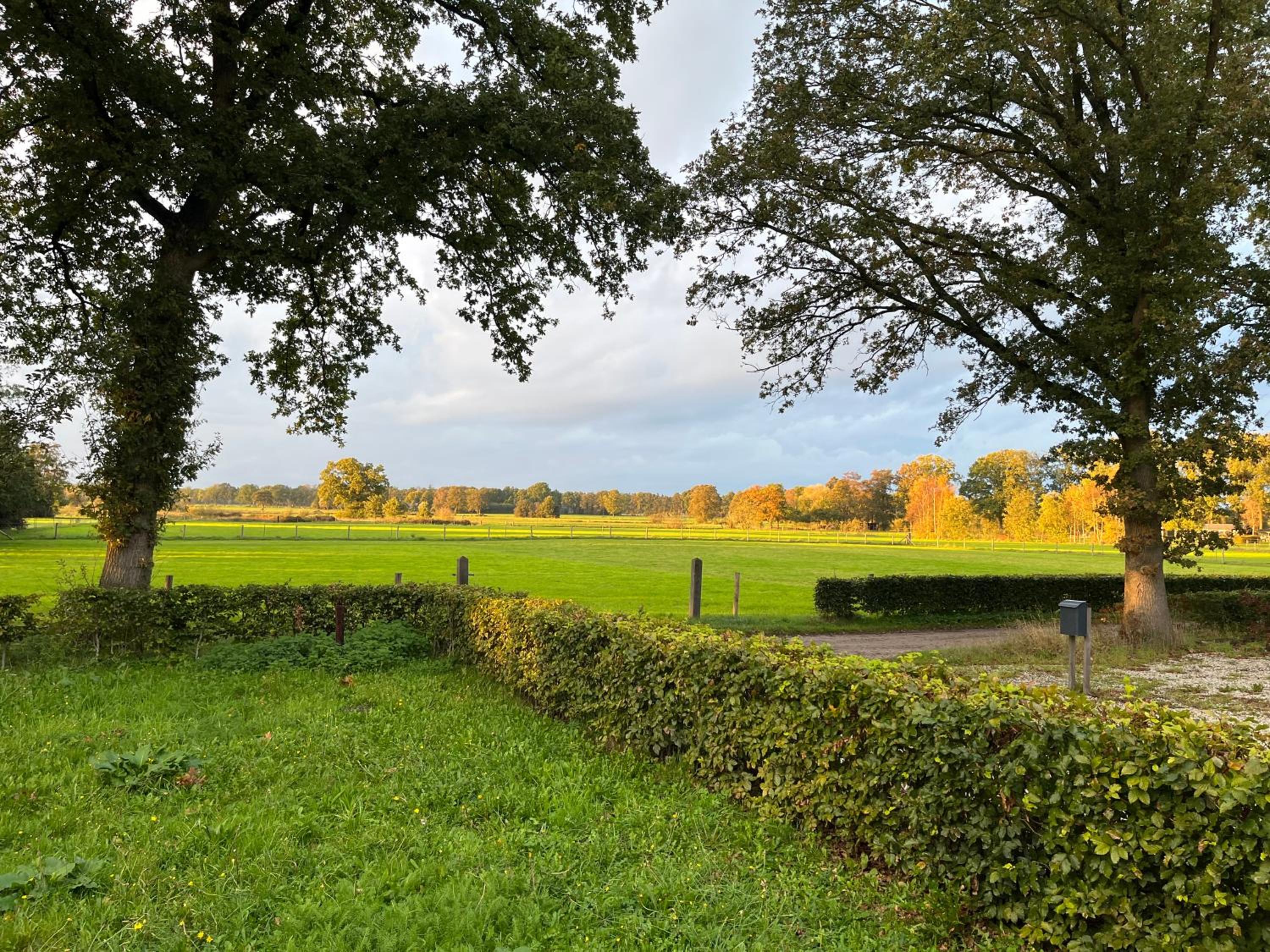 The Barn view 2
