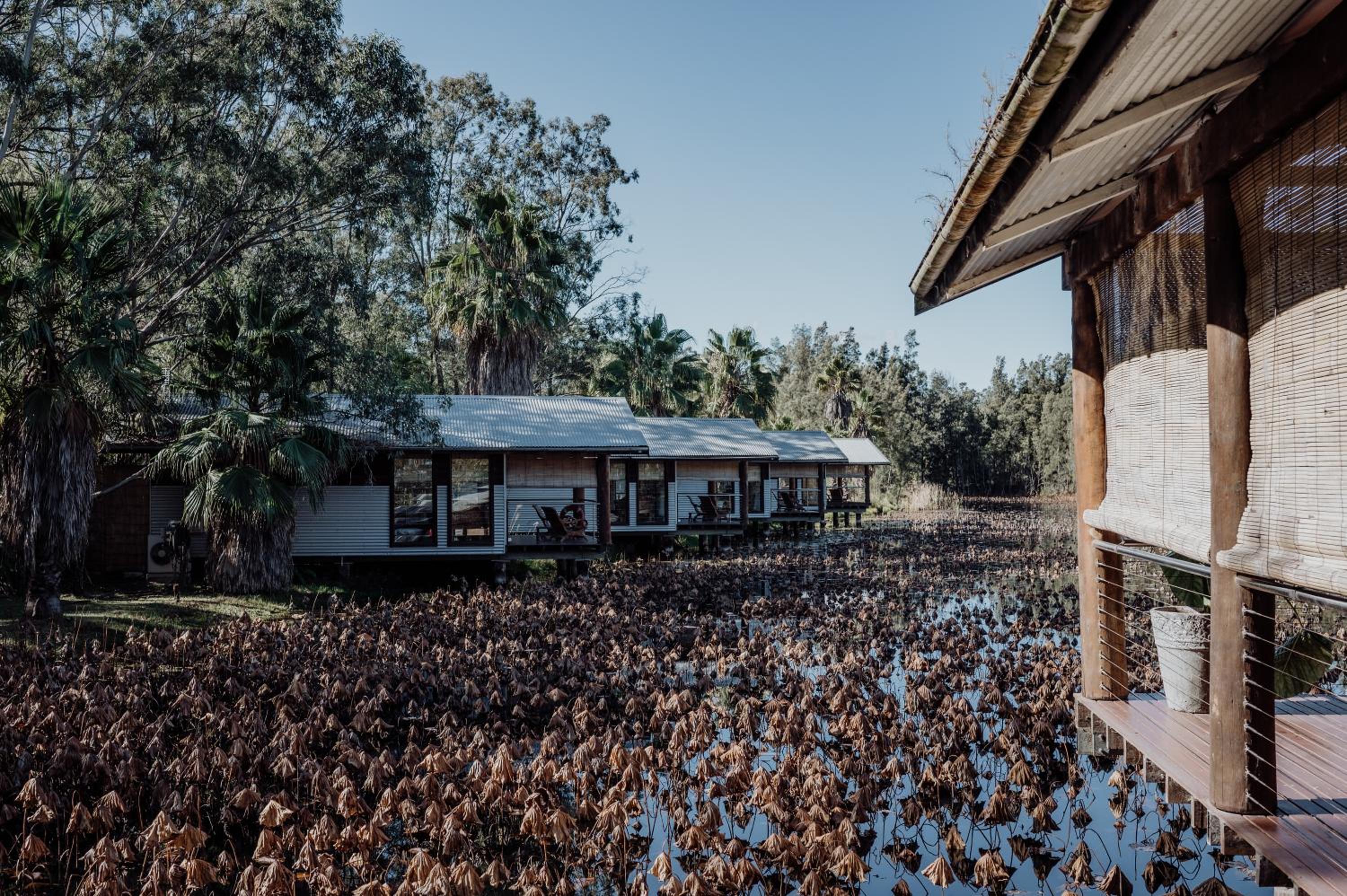 The Boathouses at Leaves & Fishes