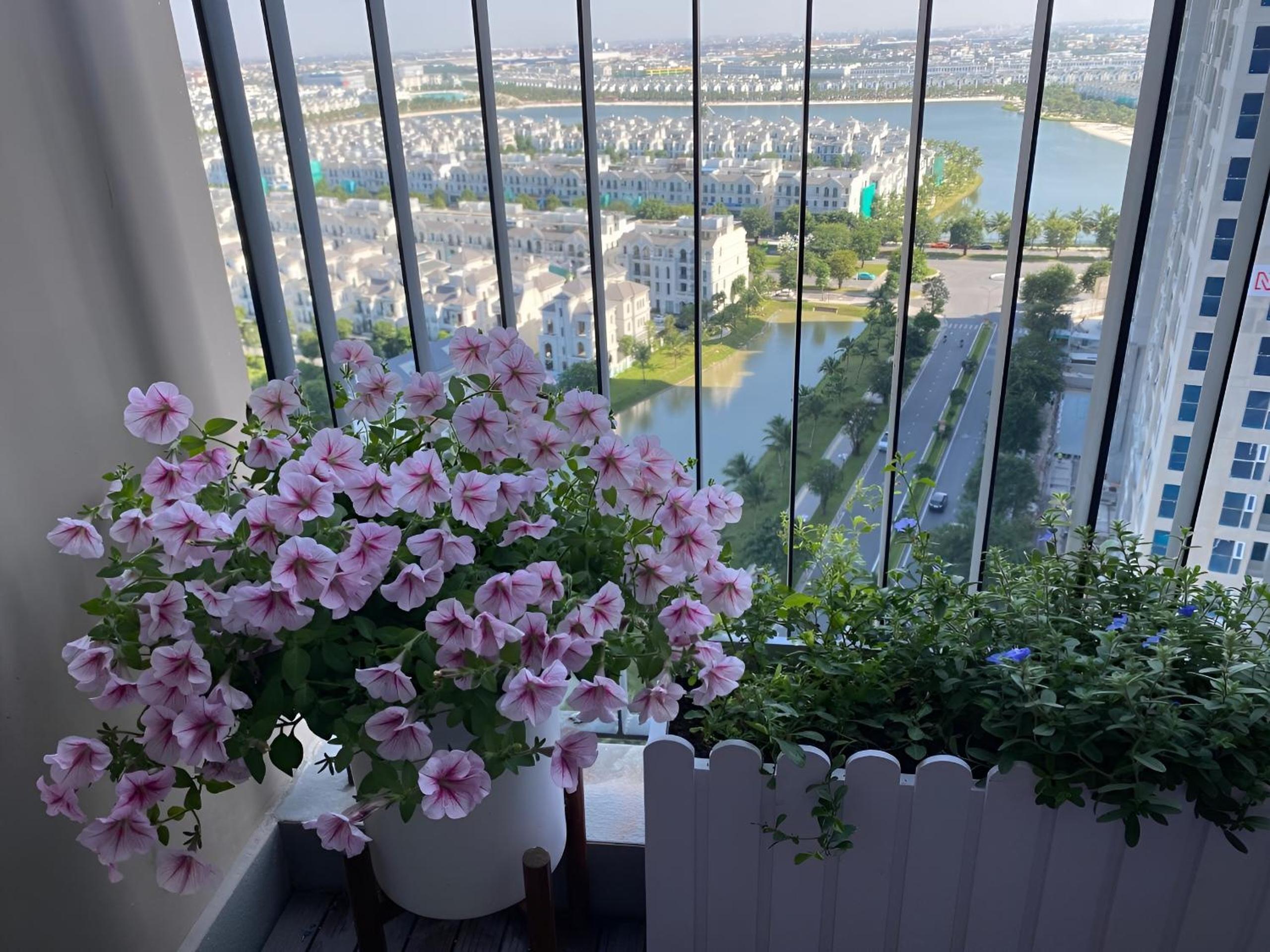 Homstay Ocean Park view biển hồ S1.12