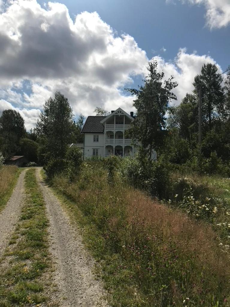 Photo 24