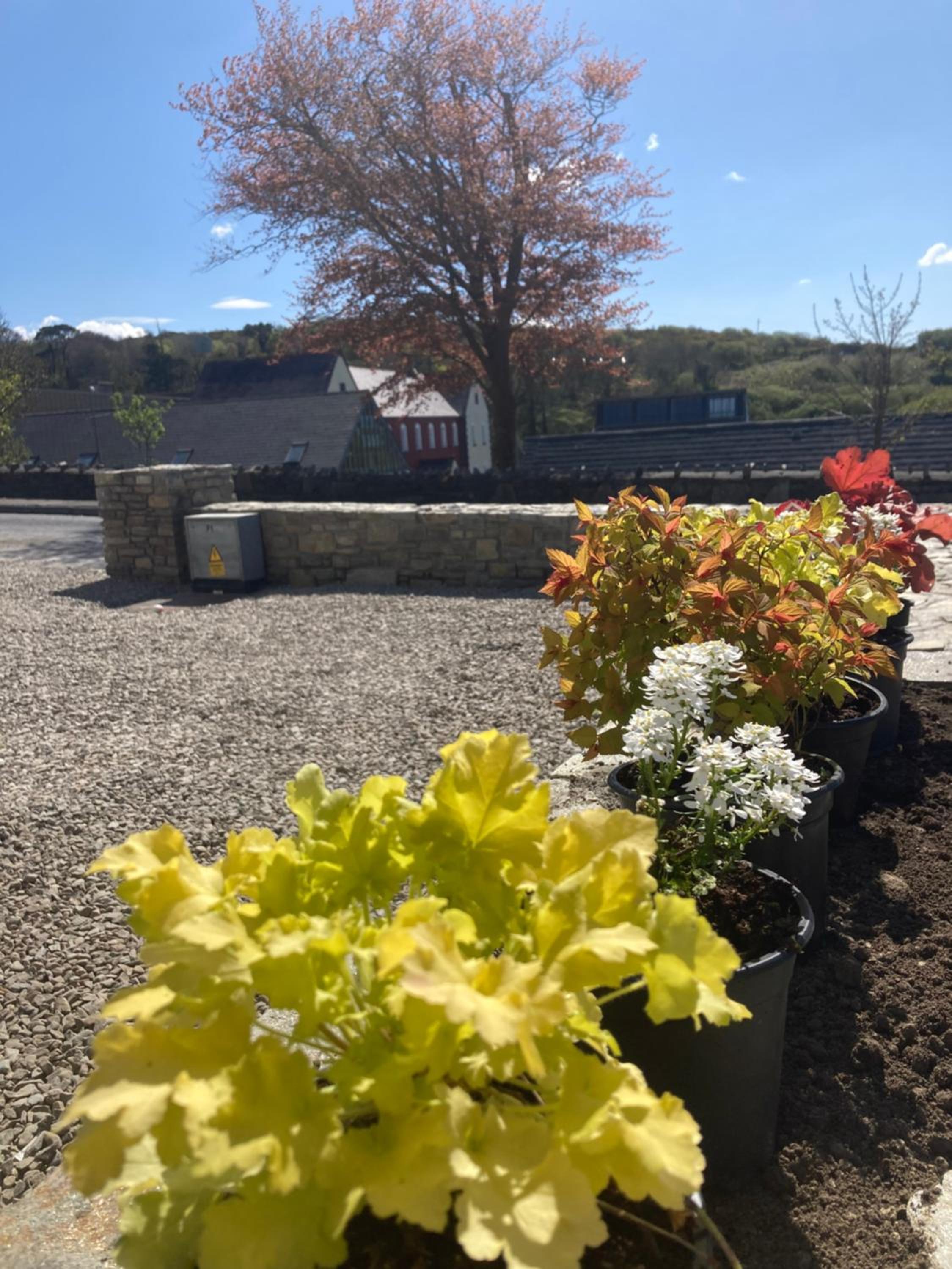 Luxury 3 Bed Townhouse Letterfrack Village Connemara National Park