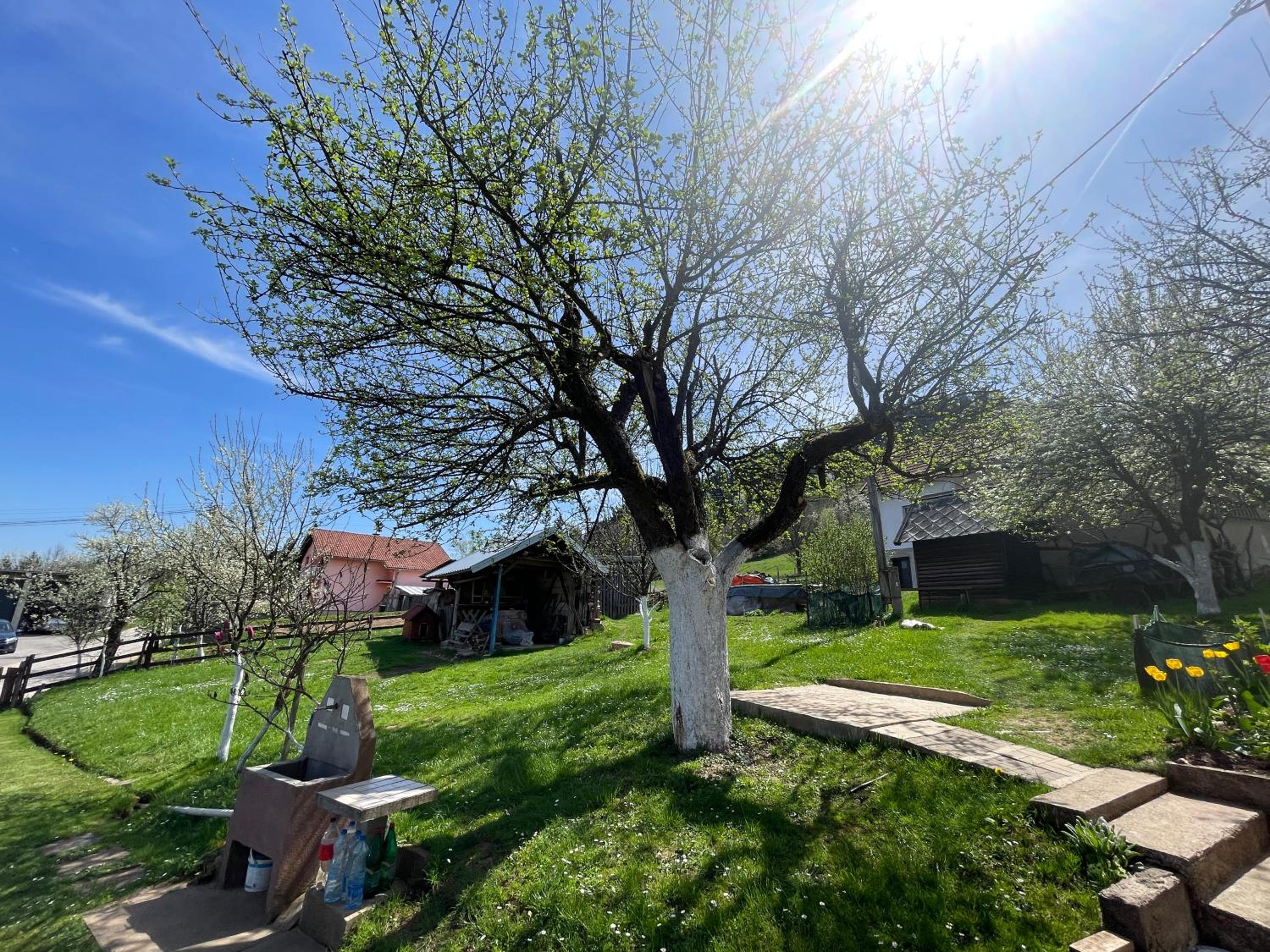 Apartman Medi