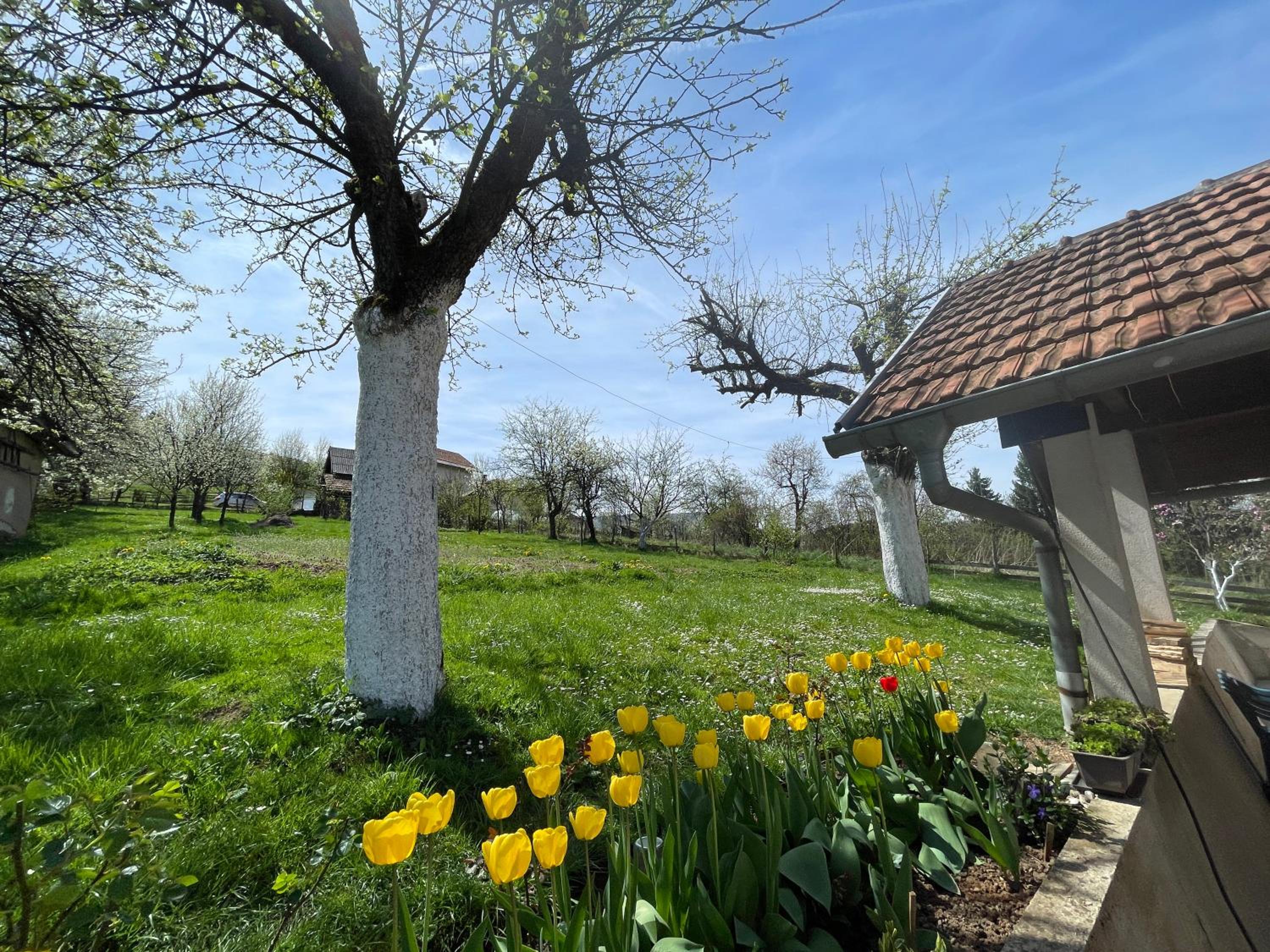 Apartman Medi