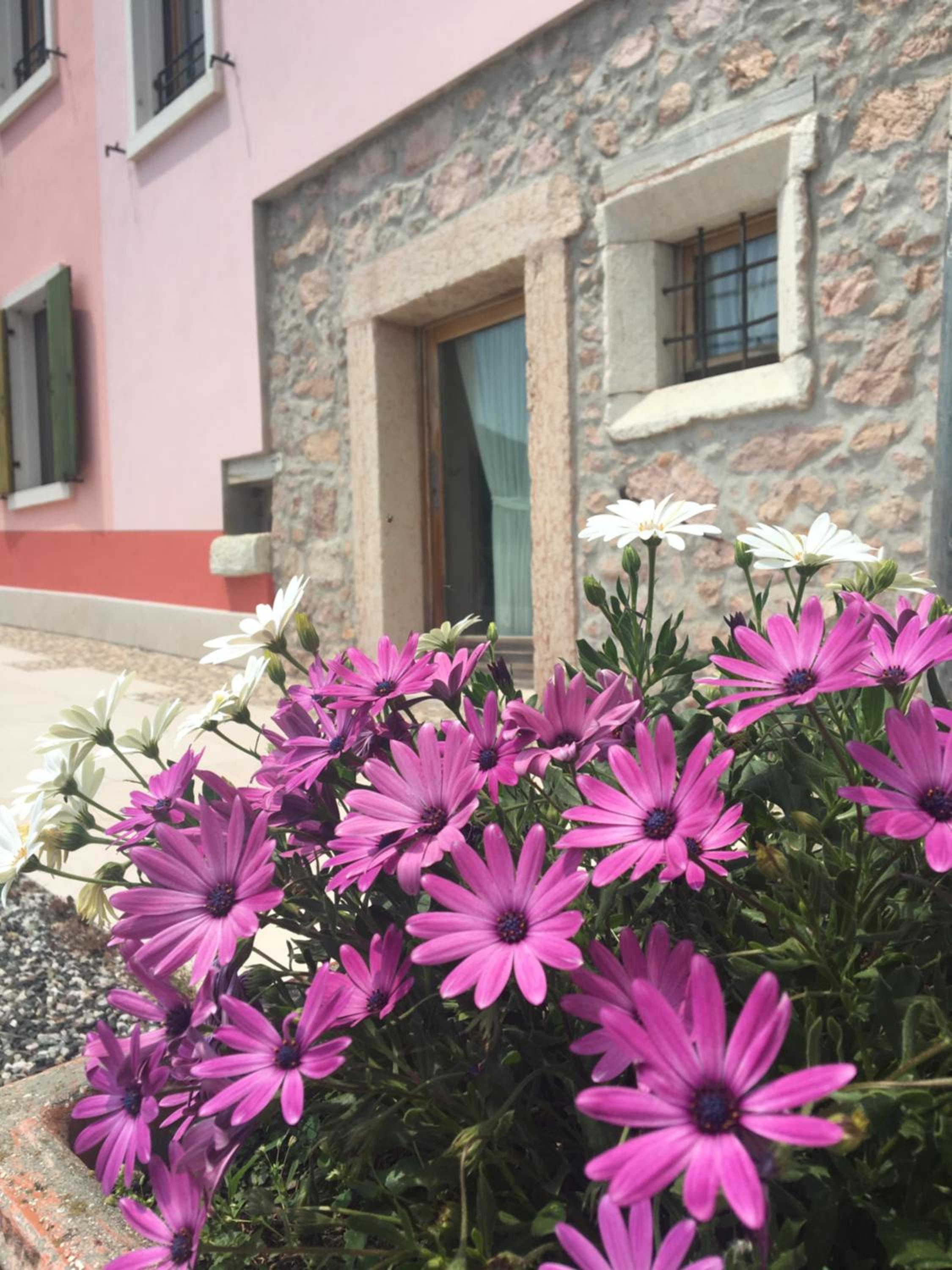 Agriturismo Corte Marani view 4