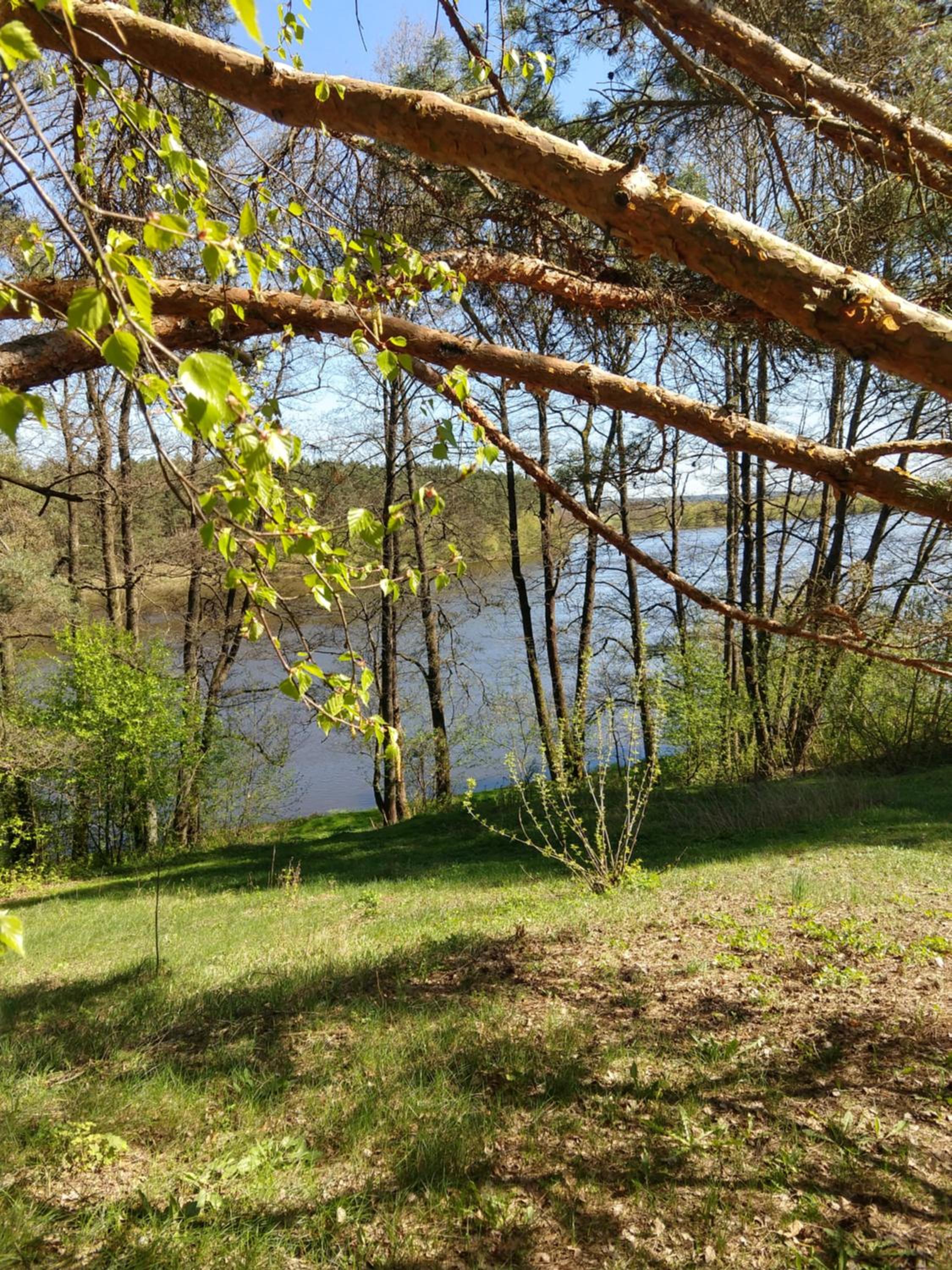 AromaHouse view 5