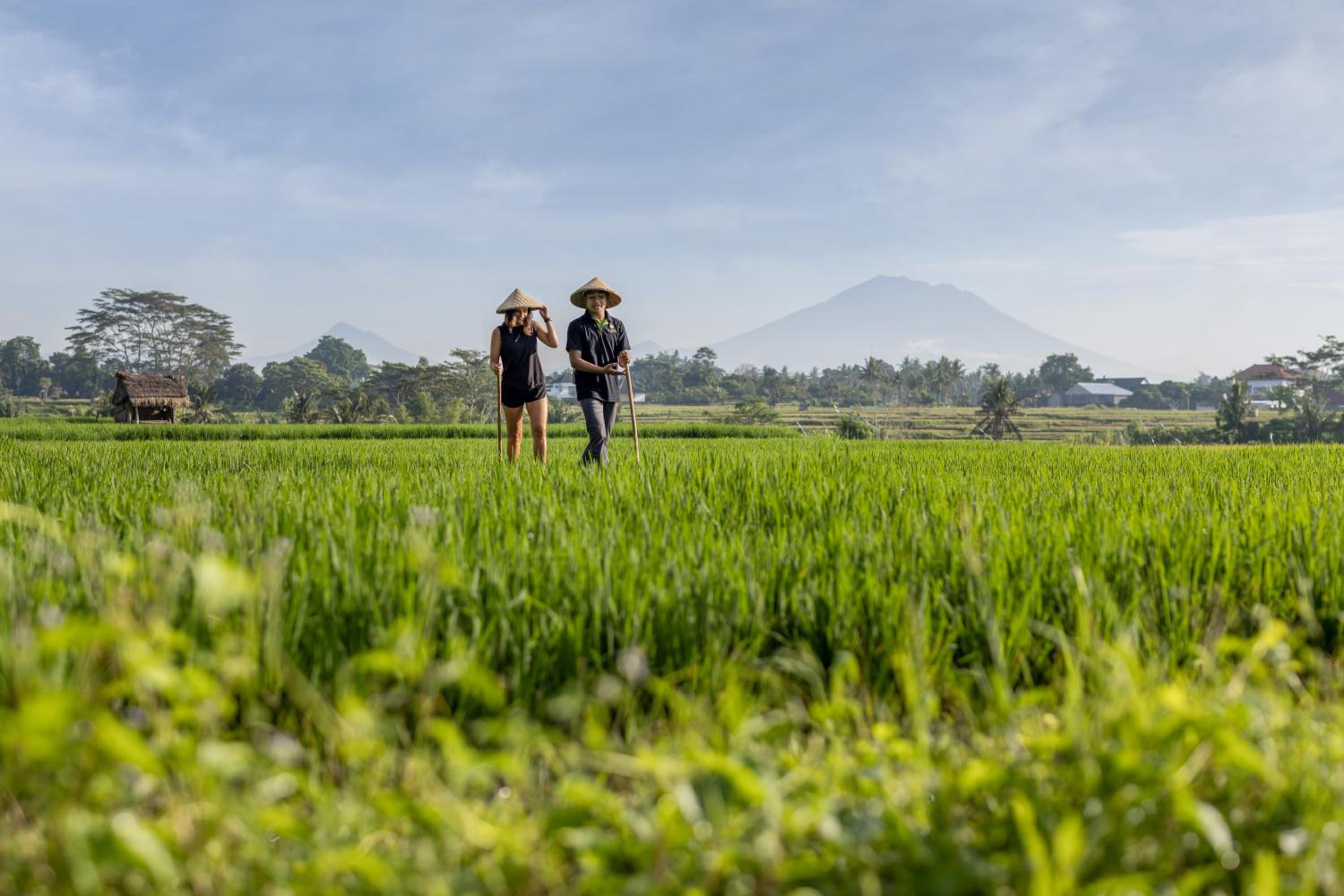 The Alena Resort a Pramana Experience
