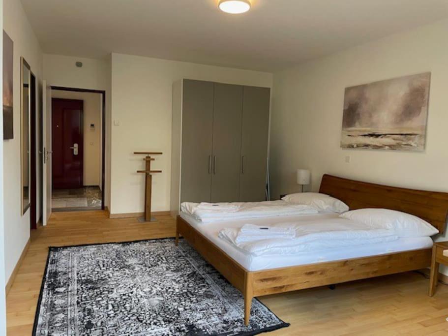 Amazing 2 bedroom flat: specious and central (Duke2)