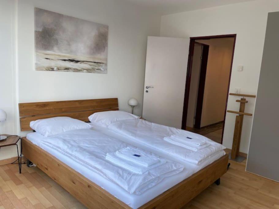 Amazing 2 bedroom flat: specious and central (Duke2)