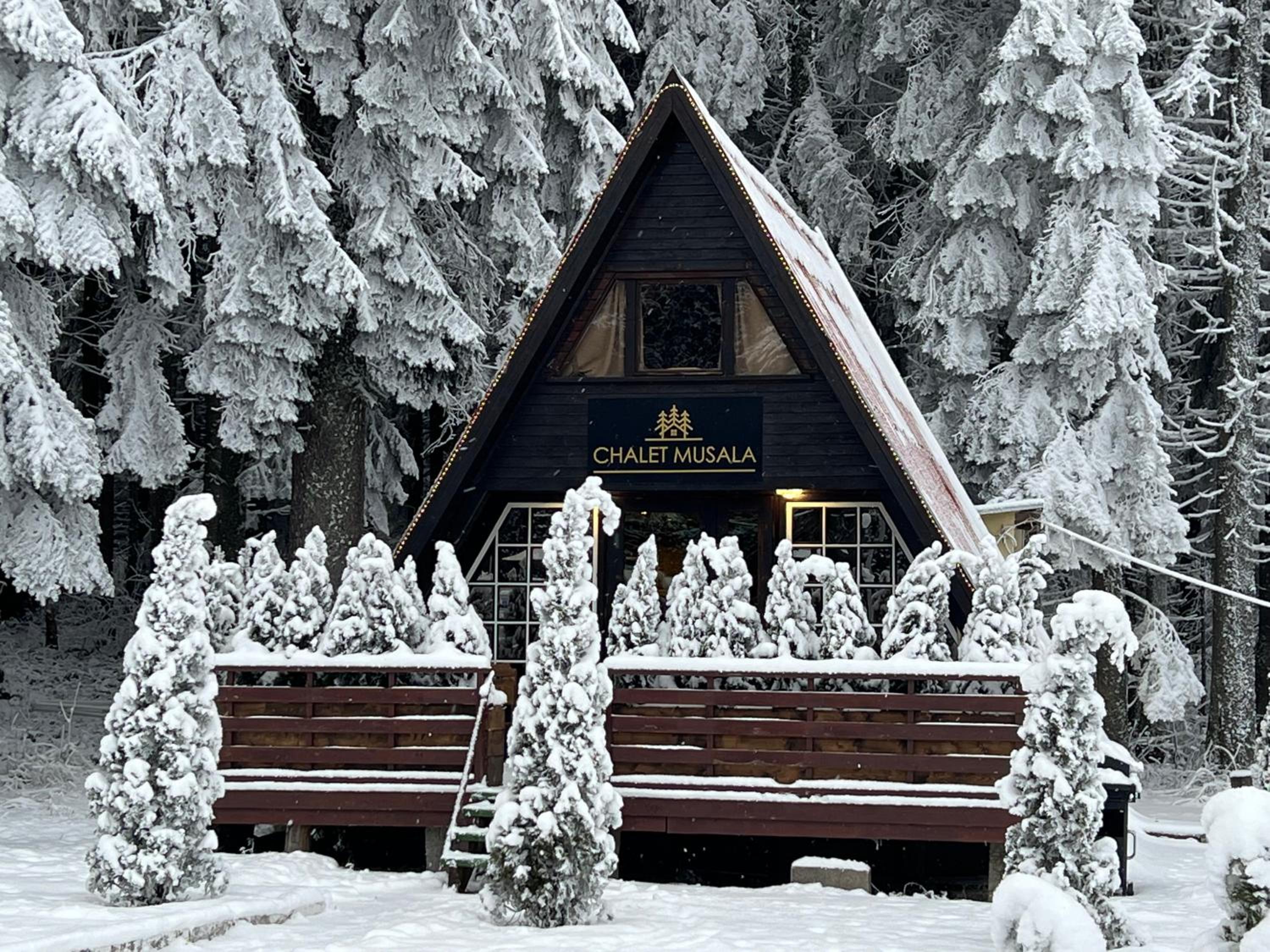 Chalet Musala Borovets by BookVillaBG