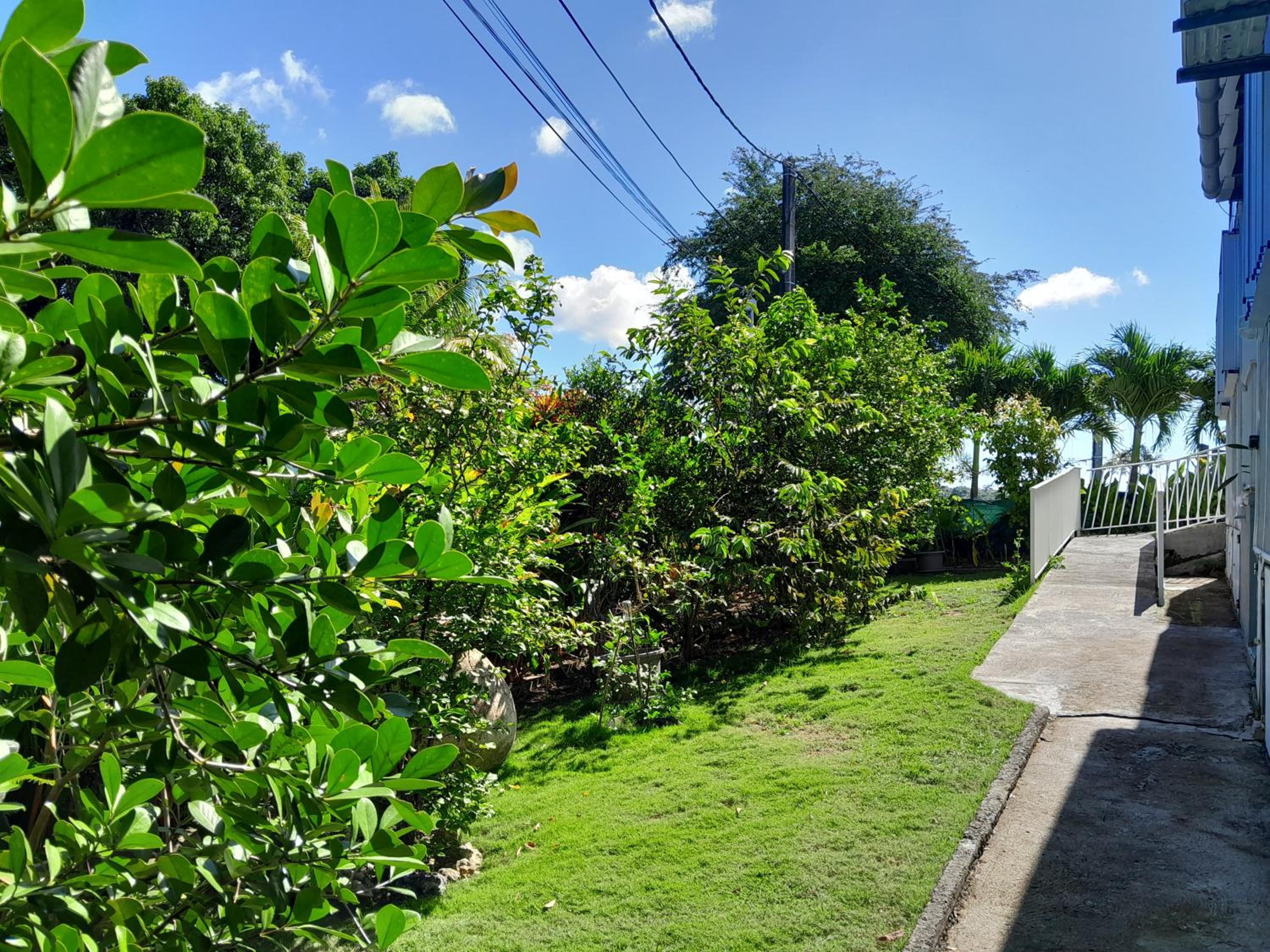 Photo 22