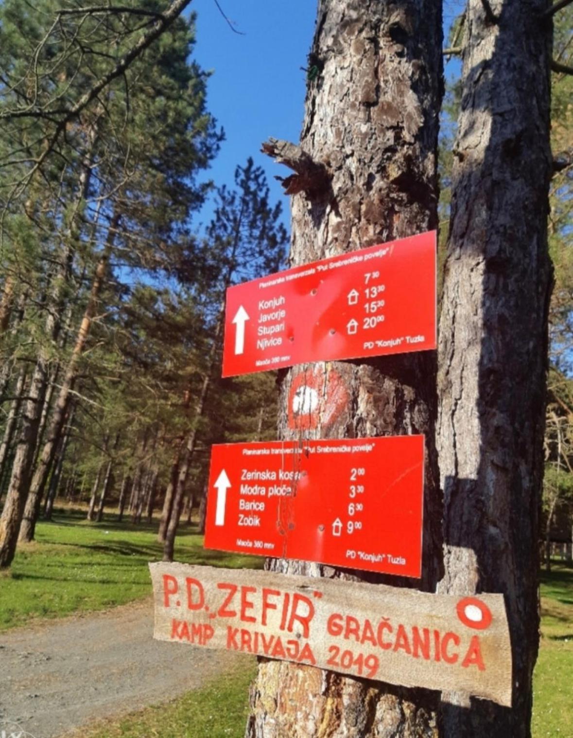 Pine Oasis