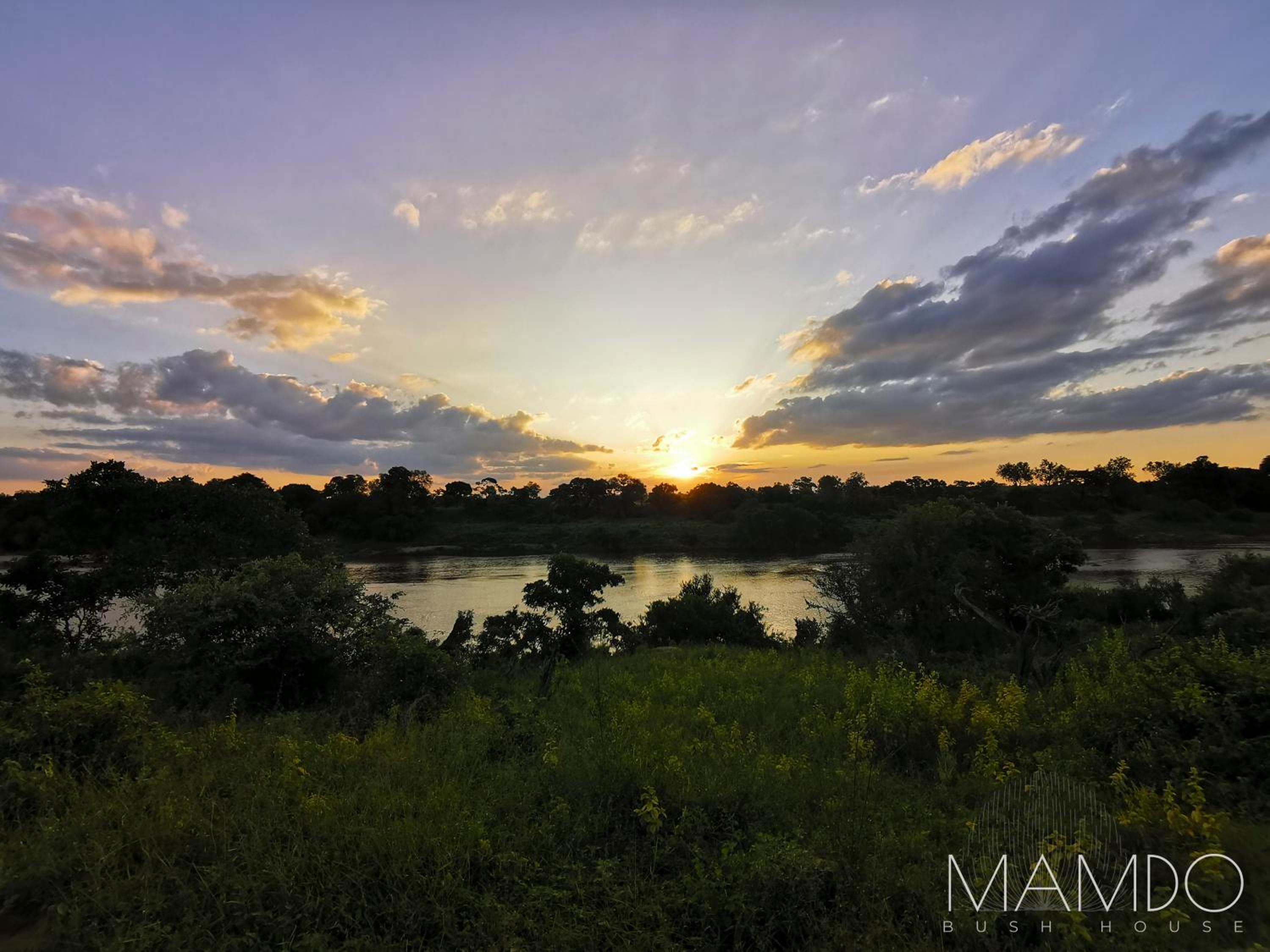 Mamdo Bush House view 5