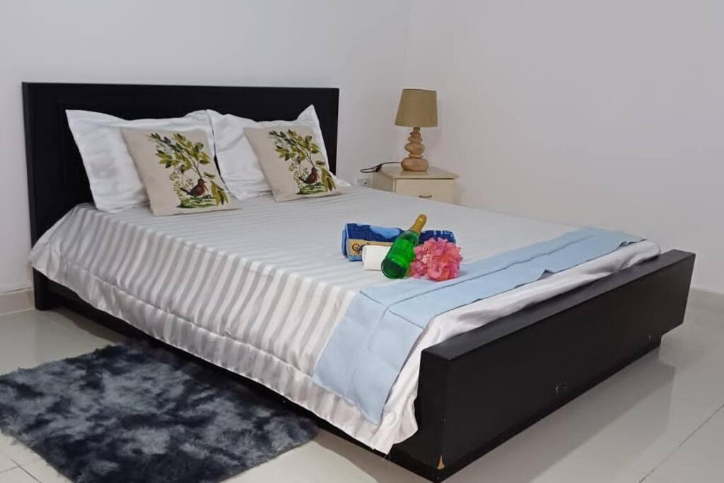 le manguiers summer vacation private apartment near the beach flic en flac view 5
