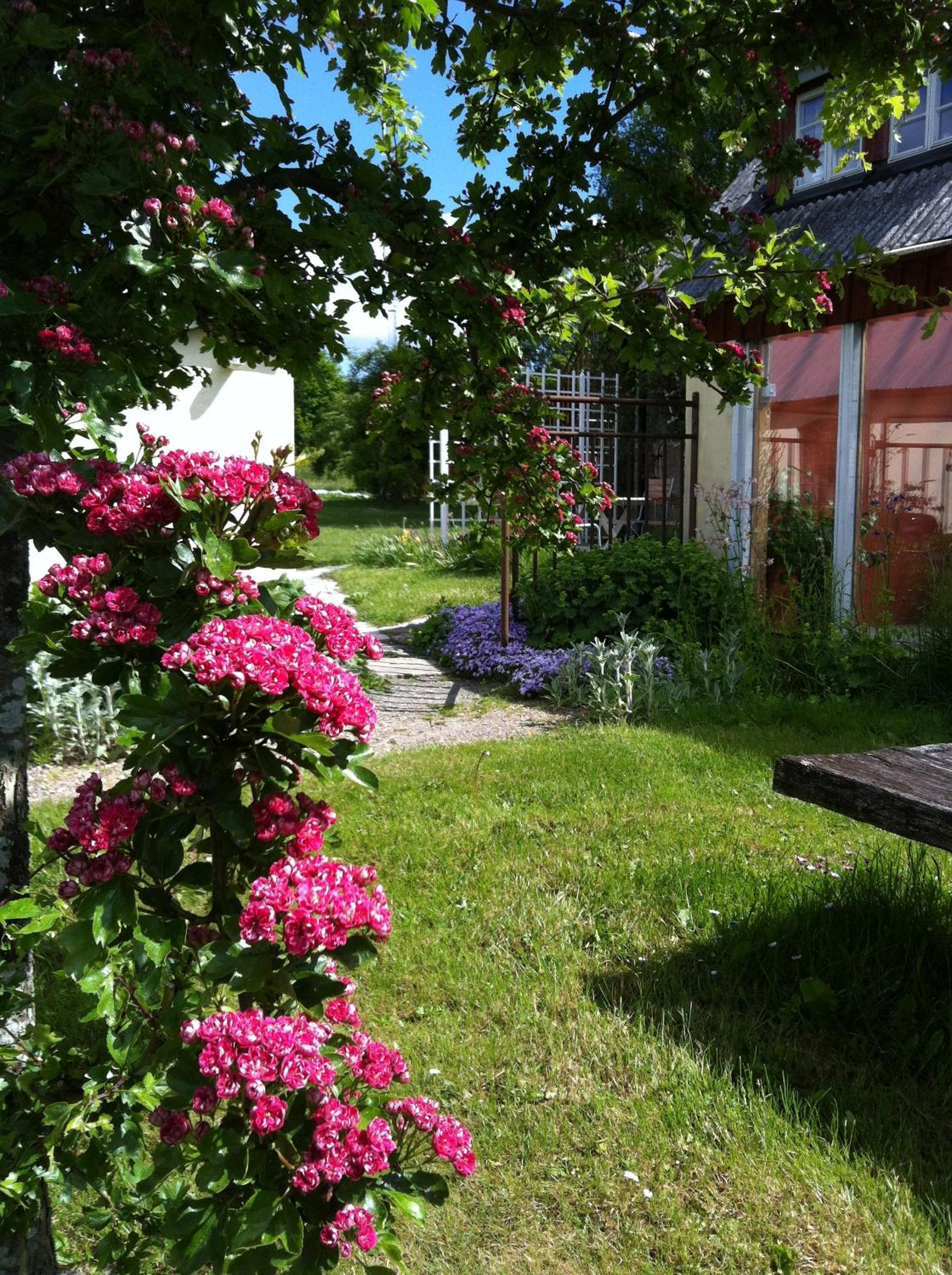 Photo 16