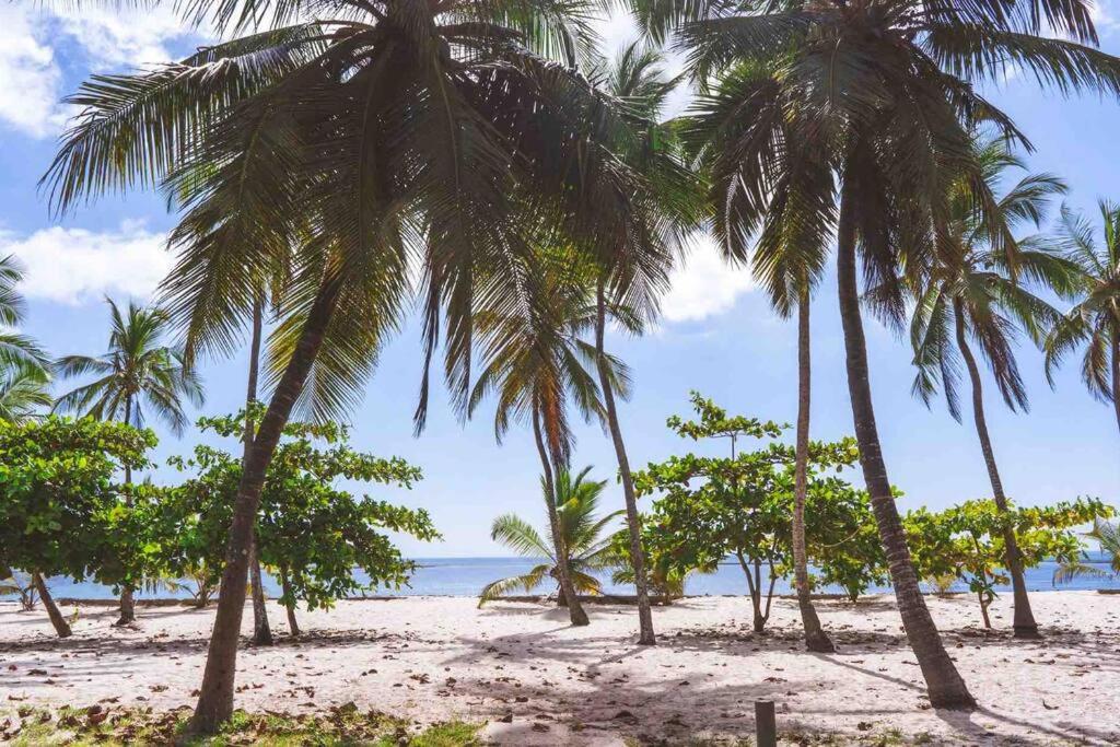 Ukunda Vacations - Golden Beachfront Apartment Diani - Property Image 8