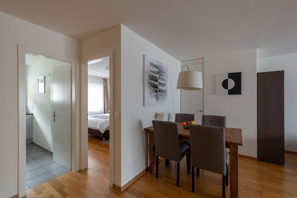 Executive 2 bedroom flat / city center (Hösch 5)