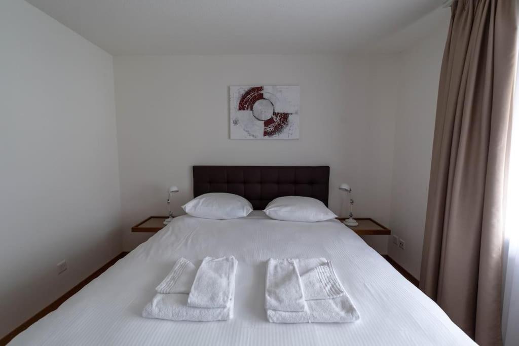 Executive 2 bedroom flat / city center (Hösch 5)