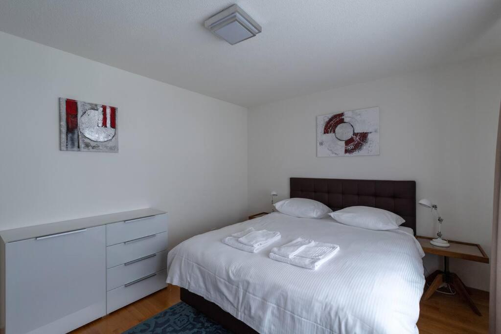 Executive 2 bedroom flat / city center (Hösch 5)