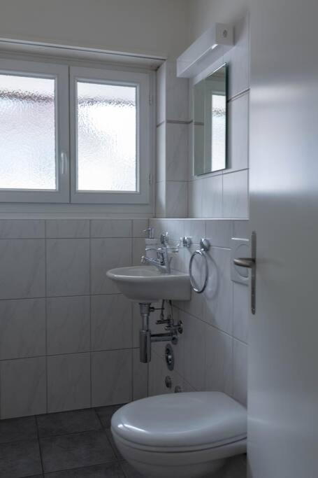 Executive 2 bedroom flat / city center (Hösch 5)