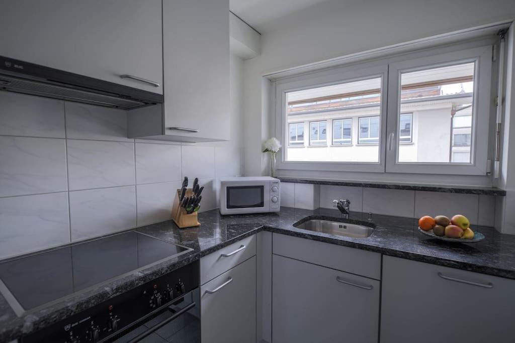 Executive 2 bedroom flat / city center (Hösch 5)
