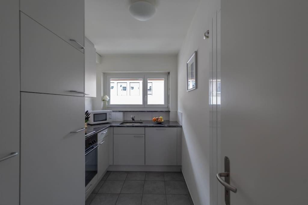 Executive 2 bedroom flat / city center (Hösch 5)