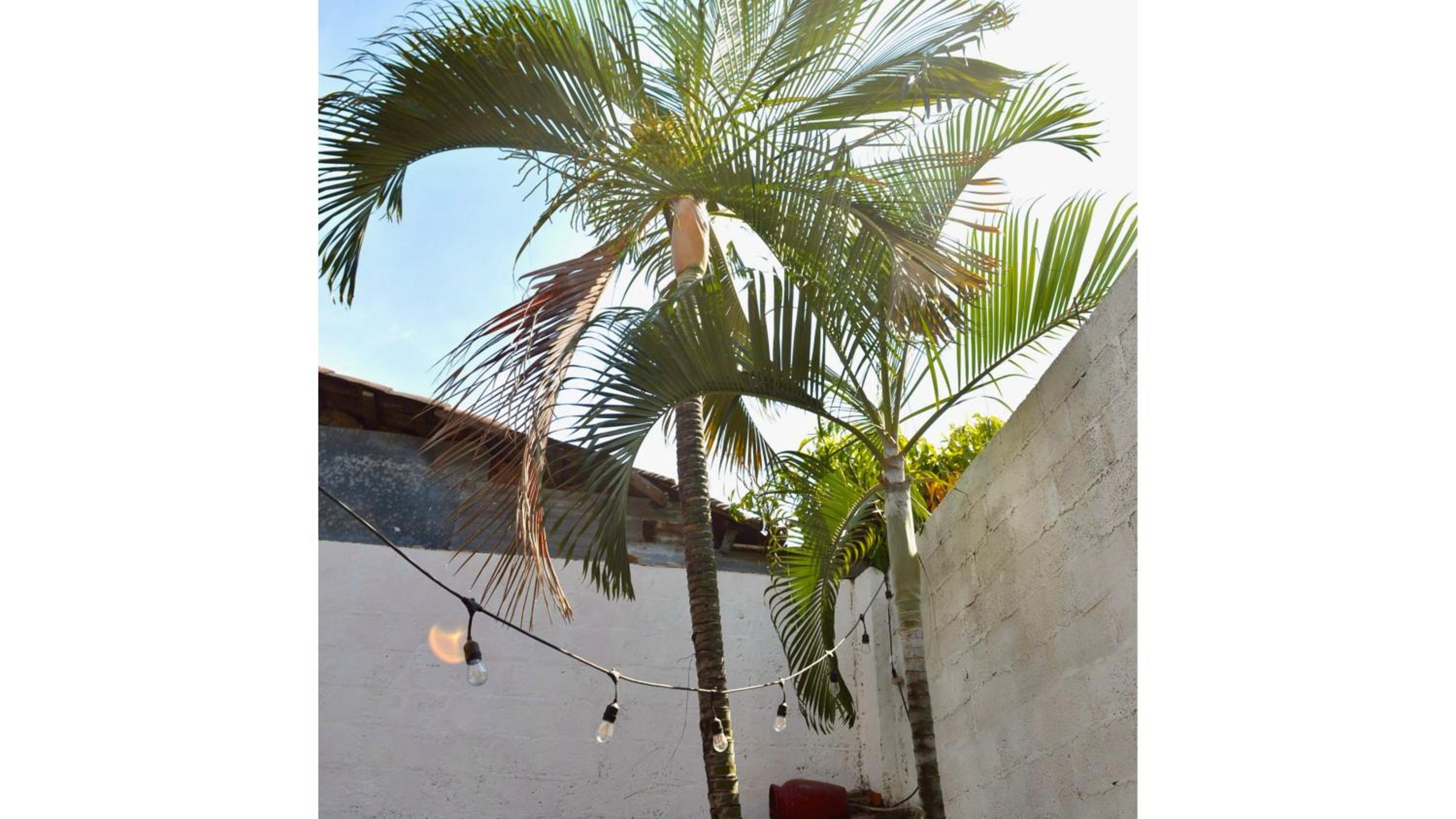 Casa Coco Hostel