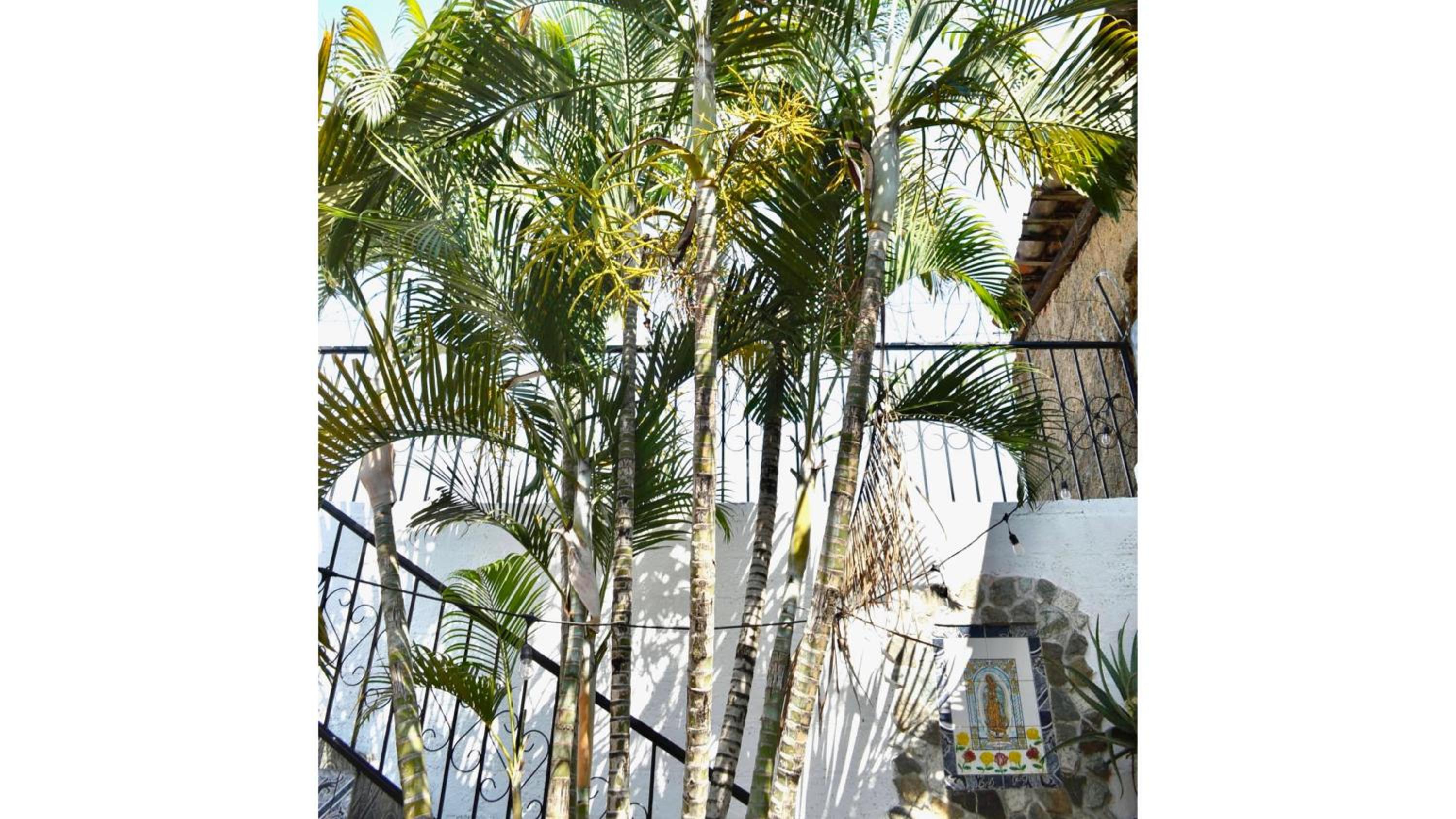 Casa Coco Hostel