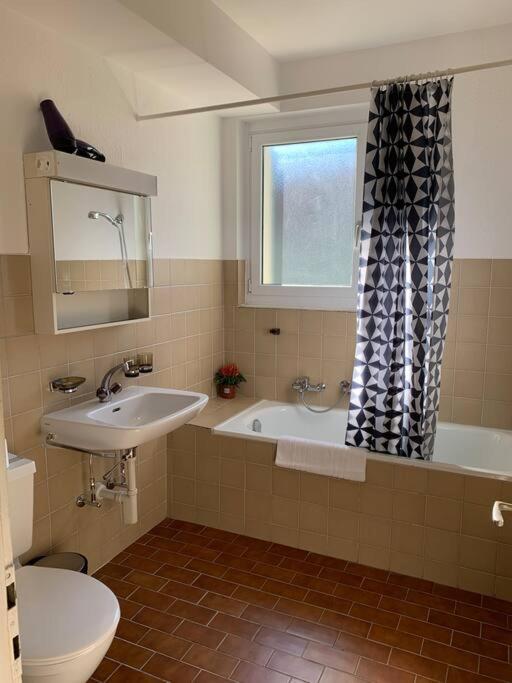 Sunny studio in the city center (Oken1)